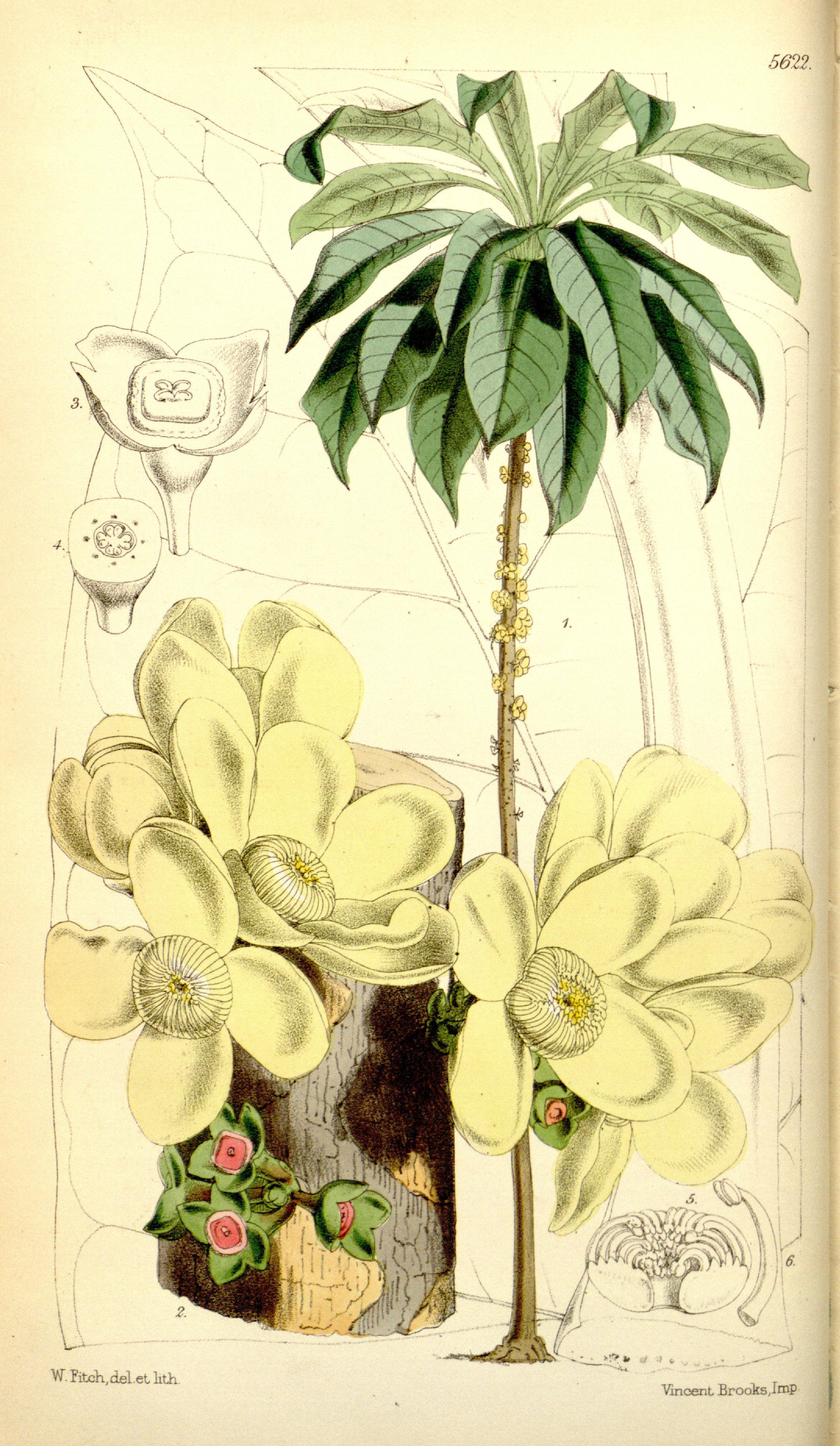 no full size  illustration available (3a)