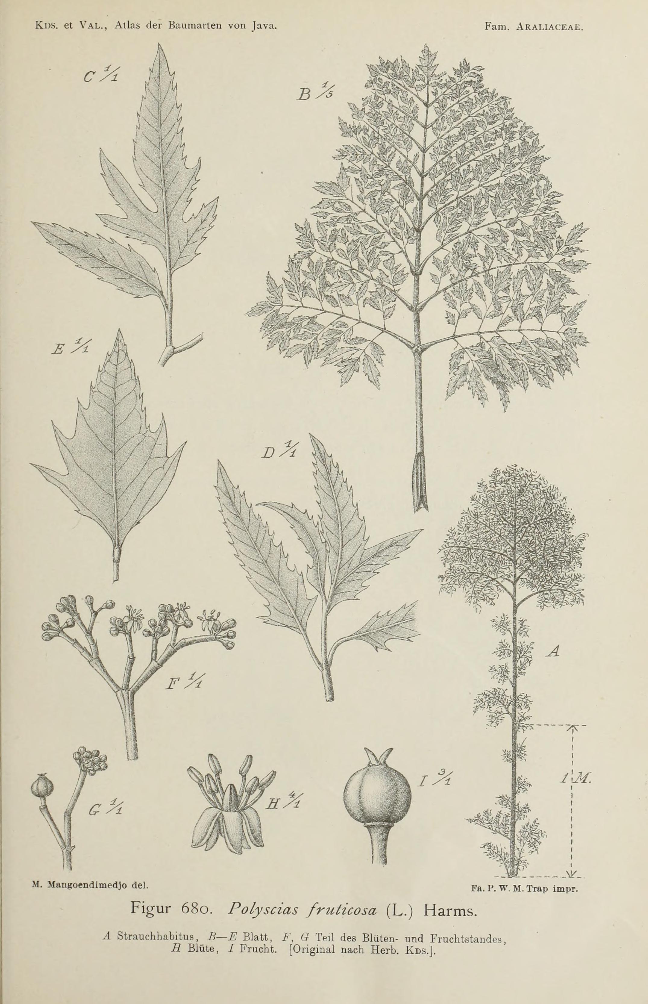 no full size  illustration available (3a)