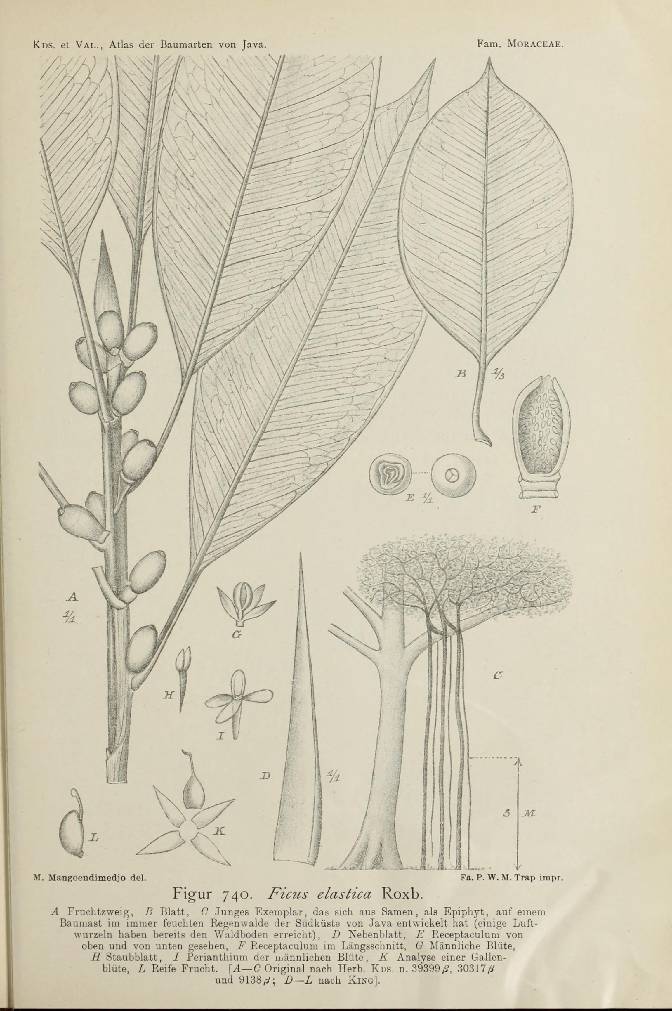 no full size  illustration available (3a)