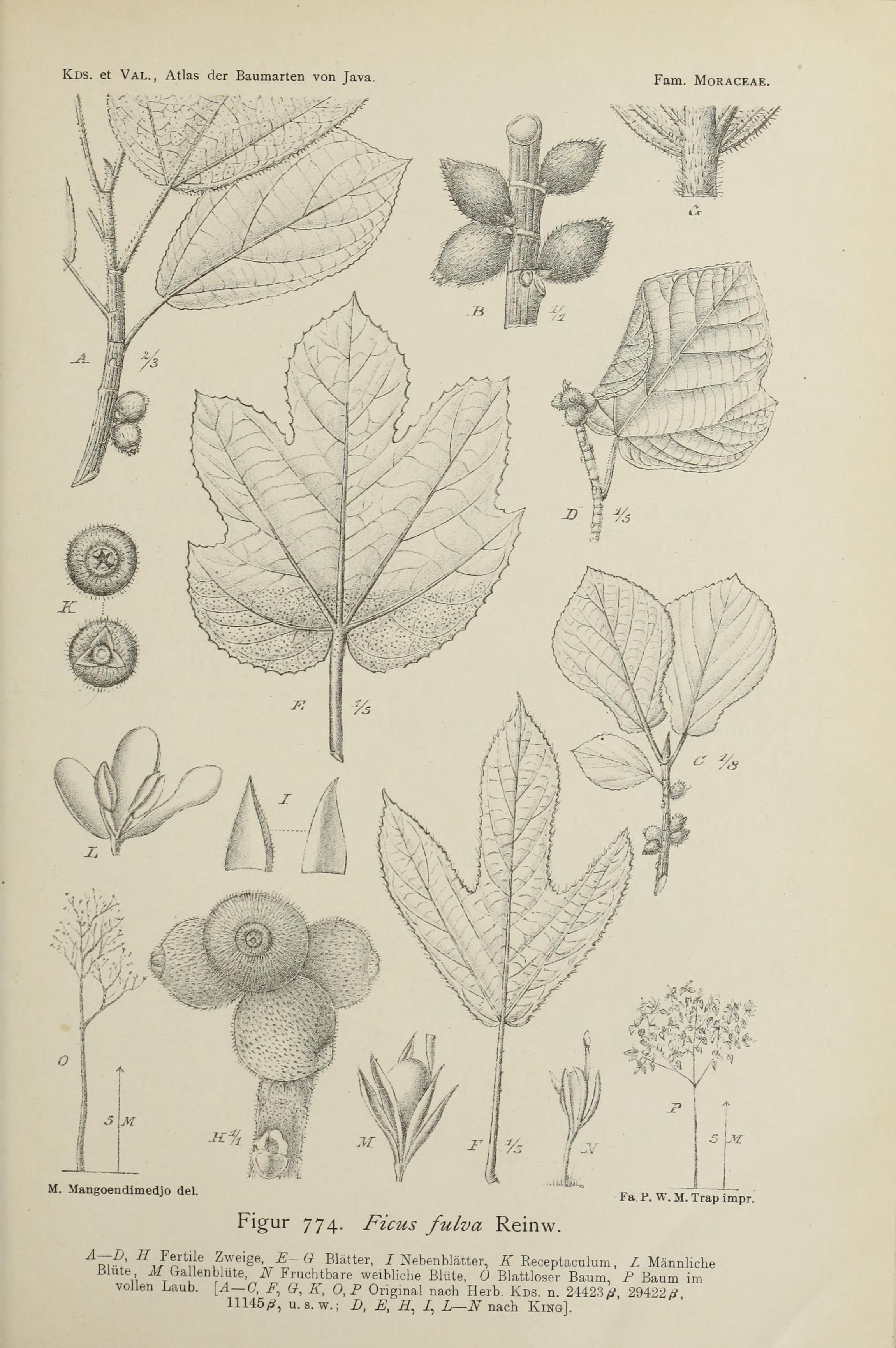 no full size  illustration available (3a)