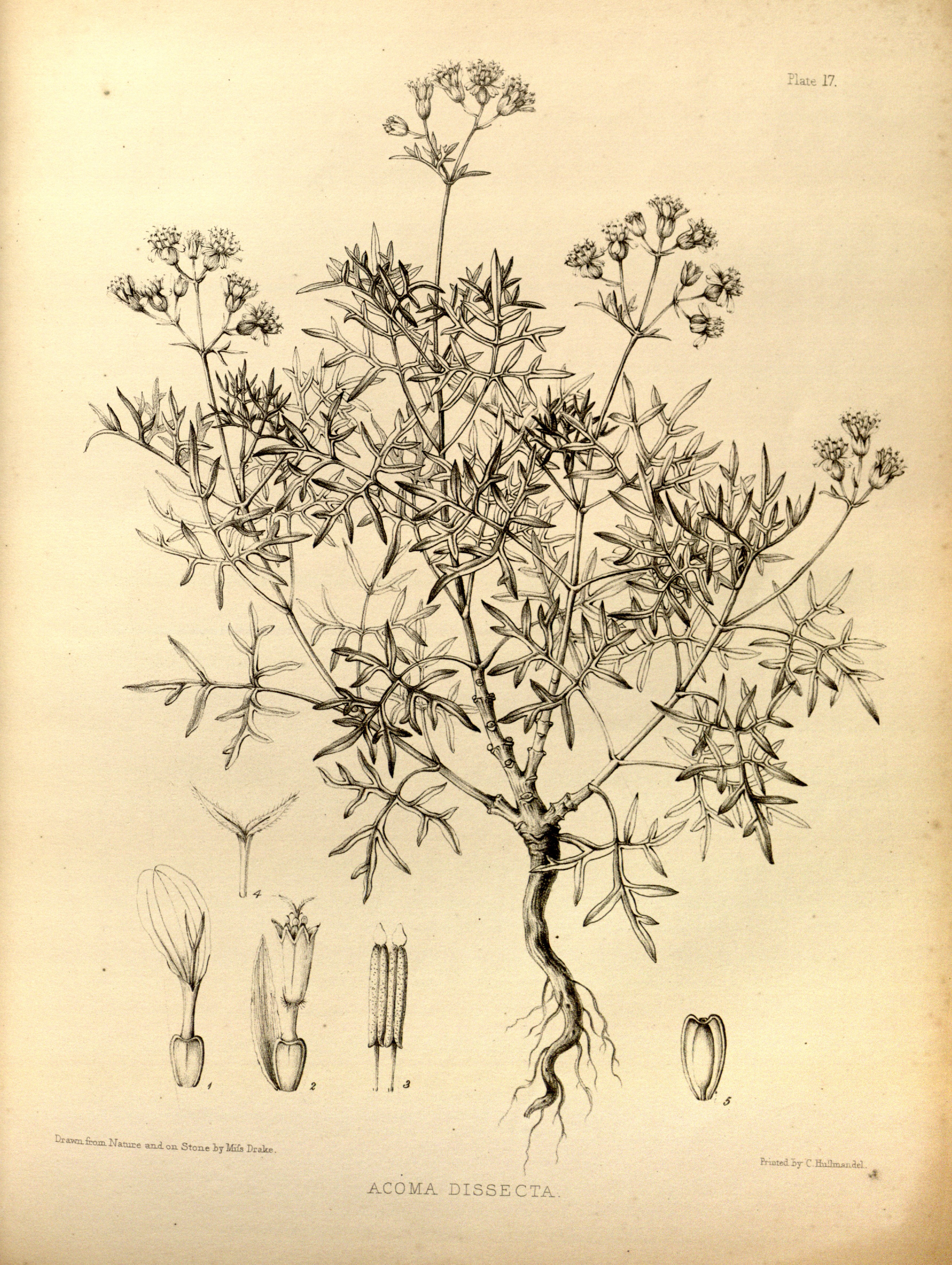 no full size  illustration available (3a)