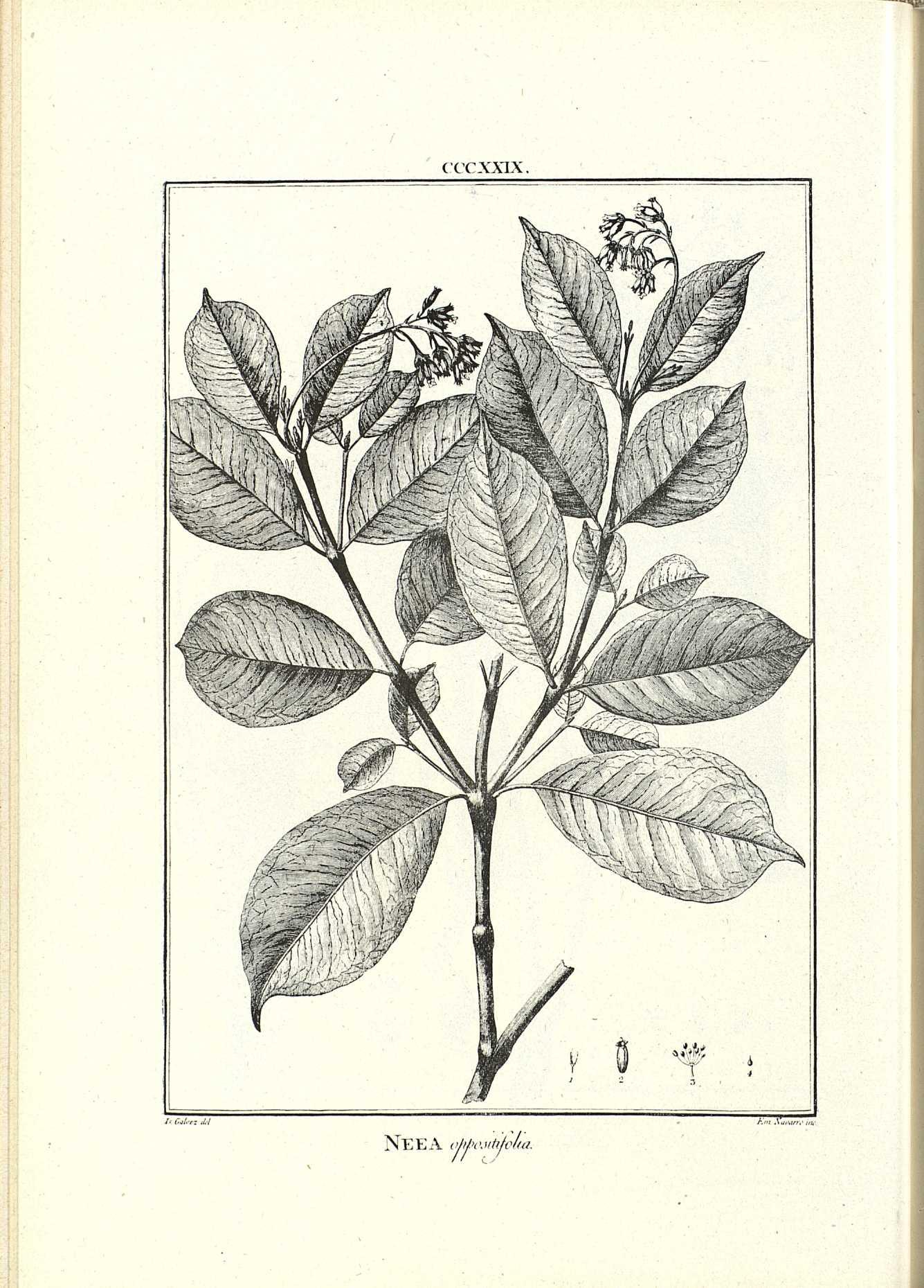 no full size  illustration available (3a)