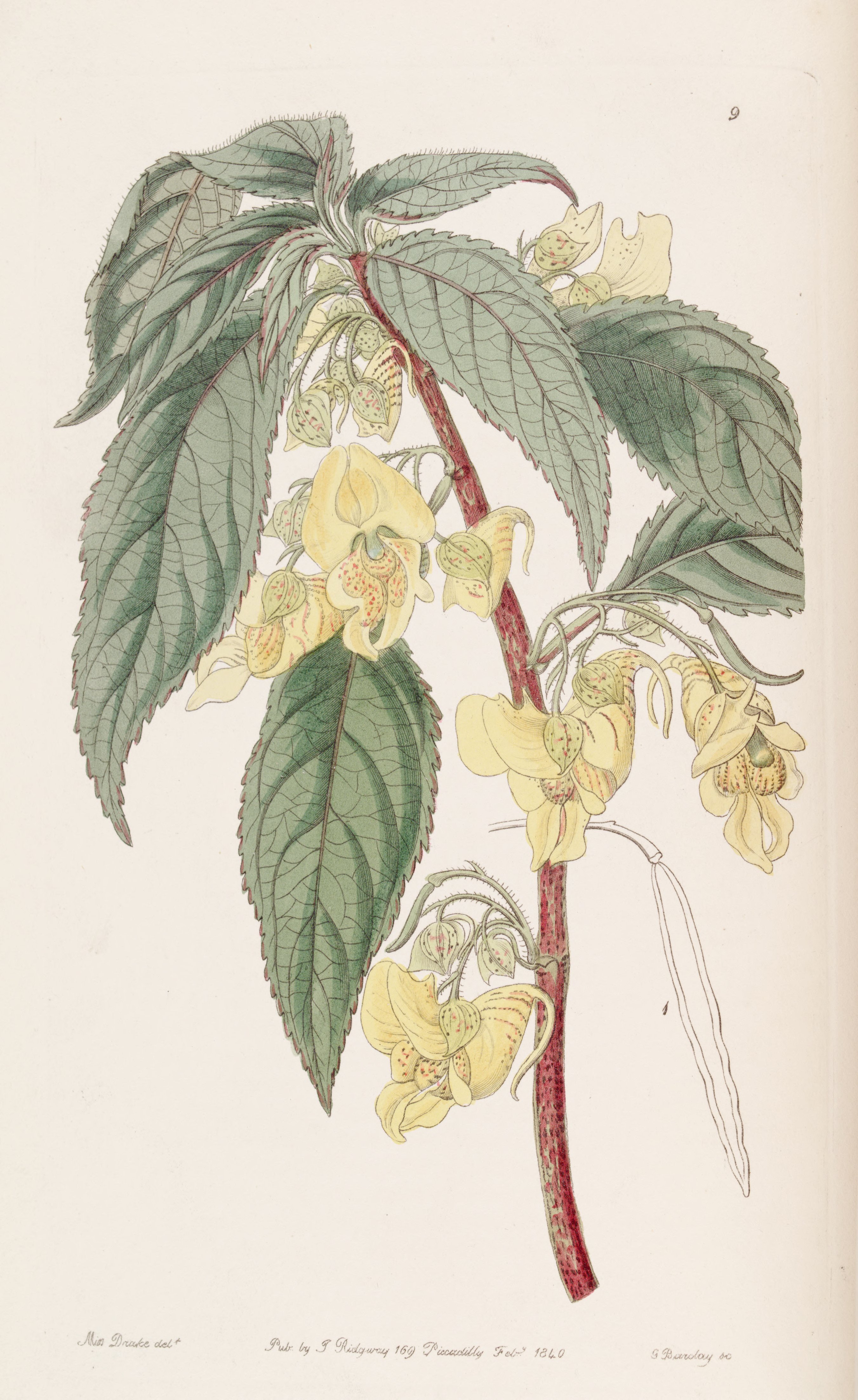 no full size  illustration available (3a)