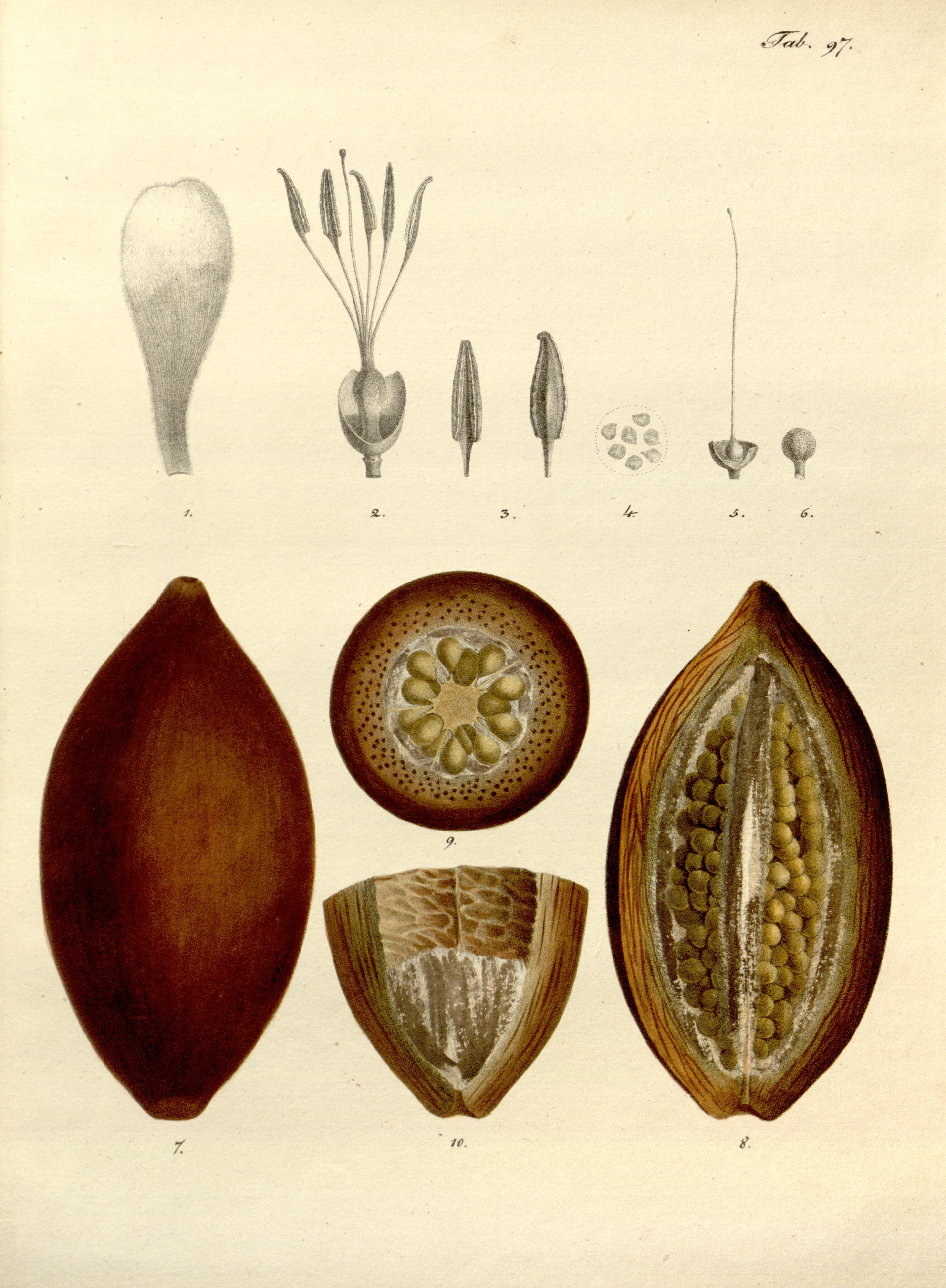 no full size  illustration available (3a)