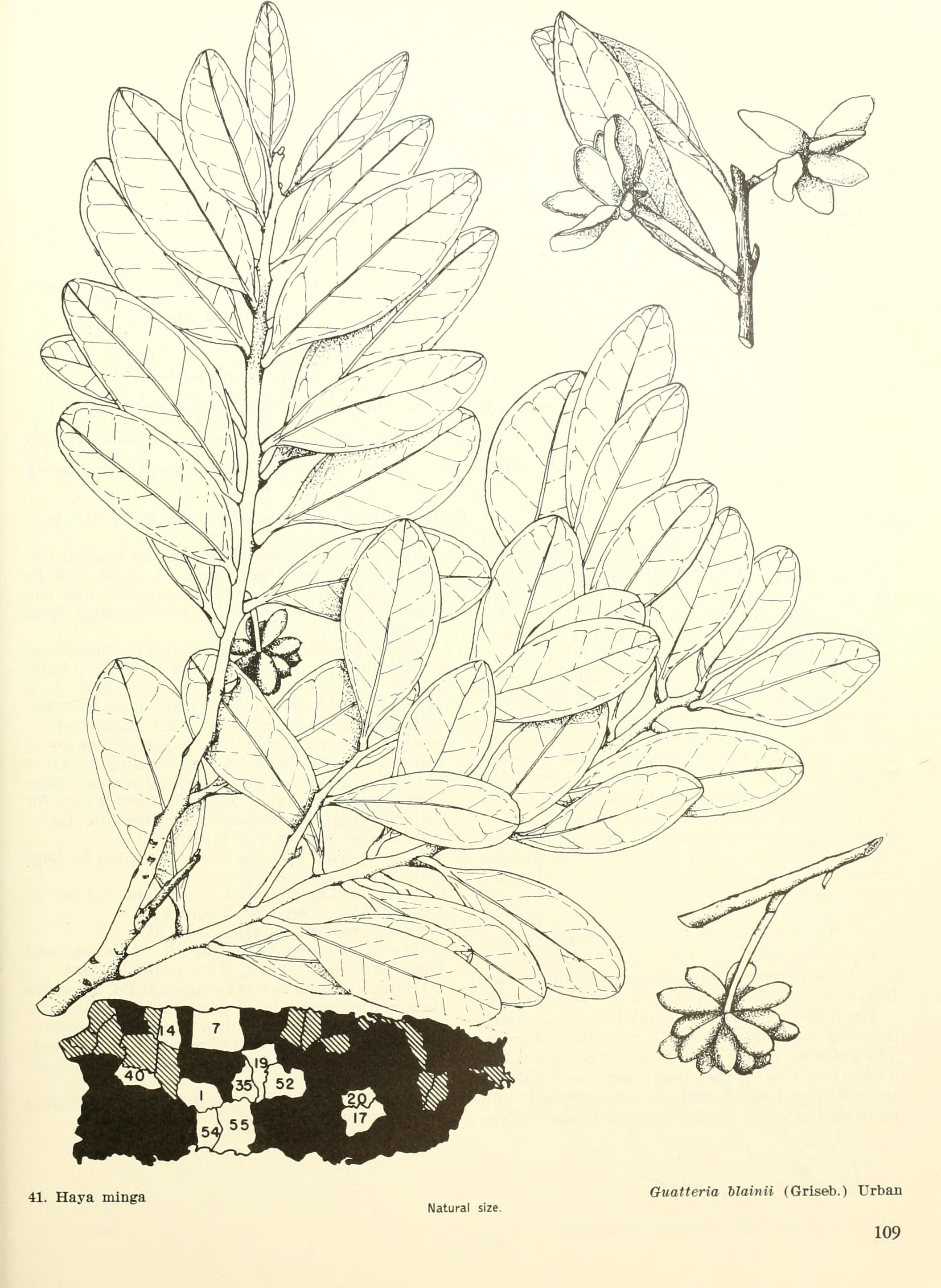 no full size  illustration available (3a)