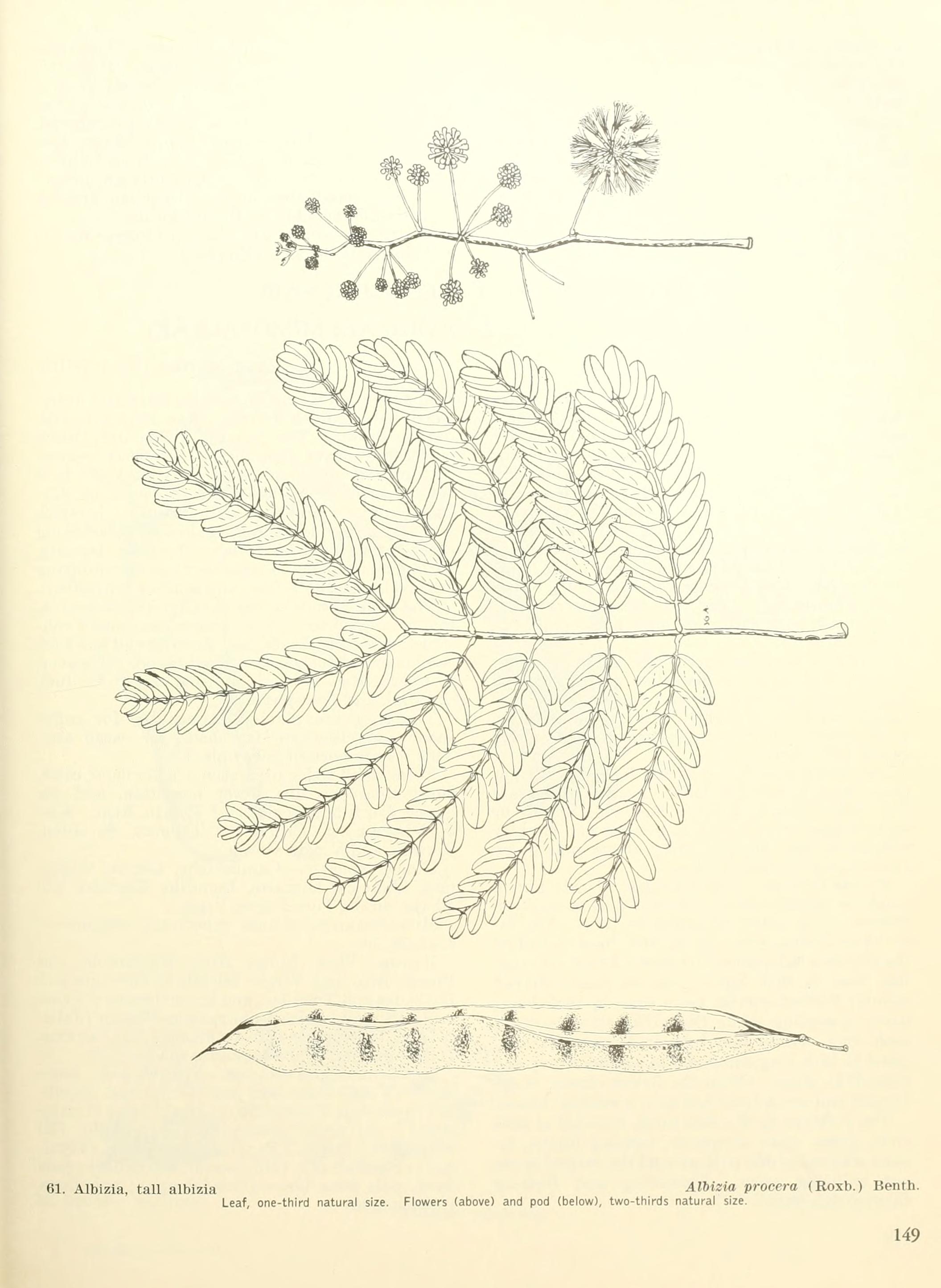 no full size  illustration available (3a)