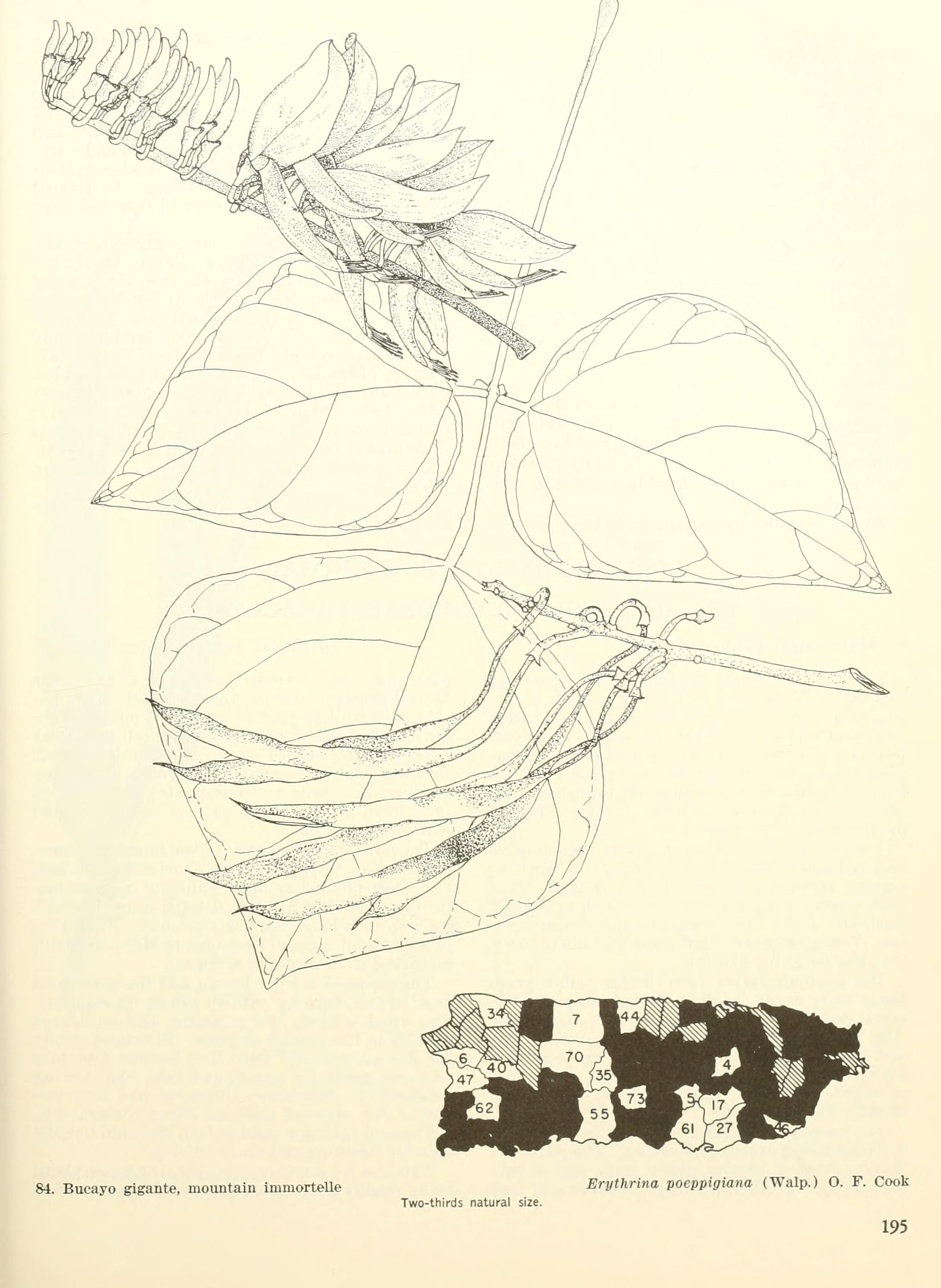 no full size  illustration available (3a)