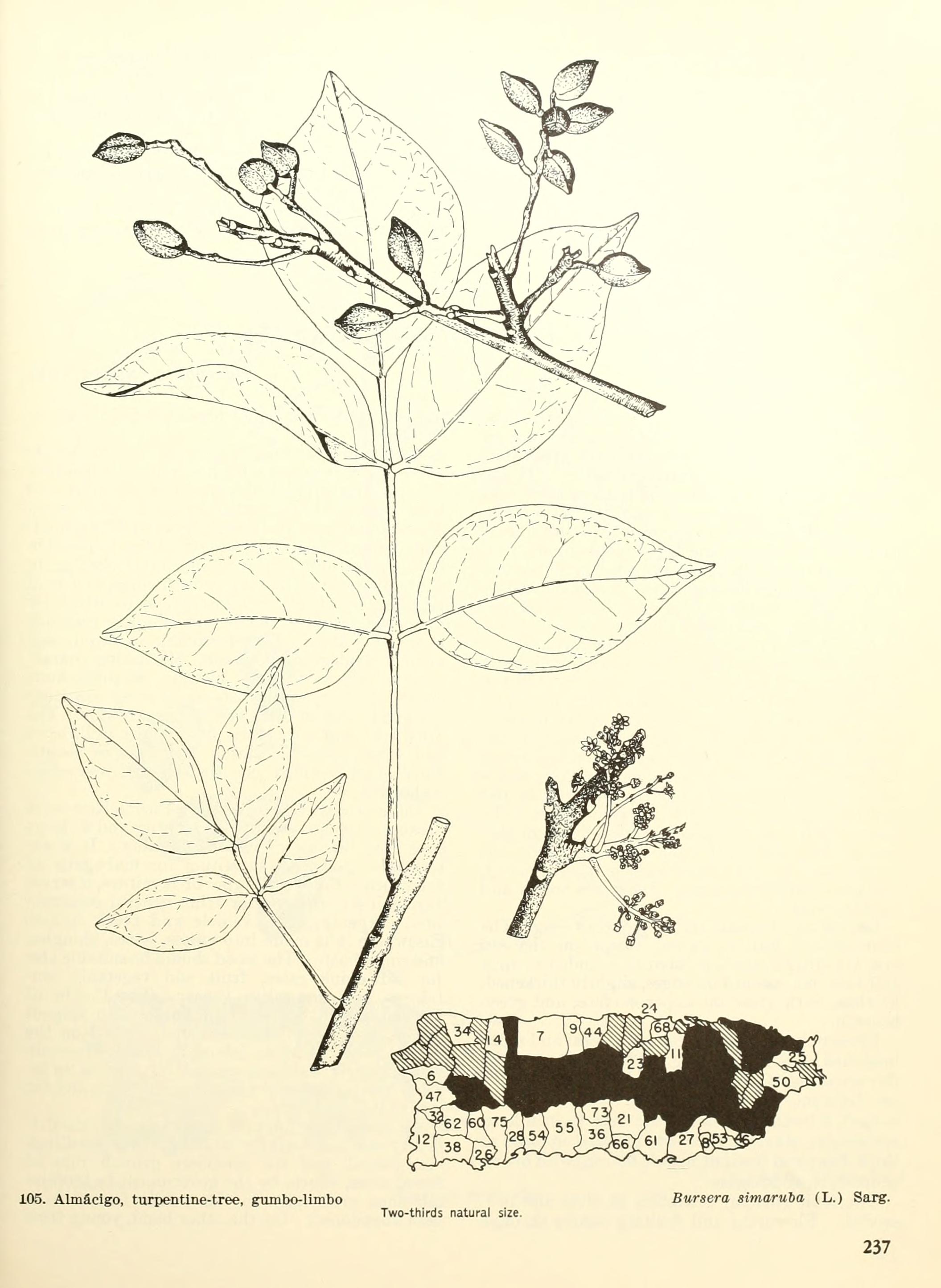 no full size  illustration available (3a)