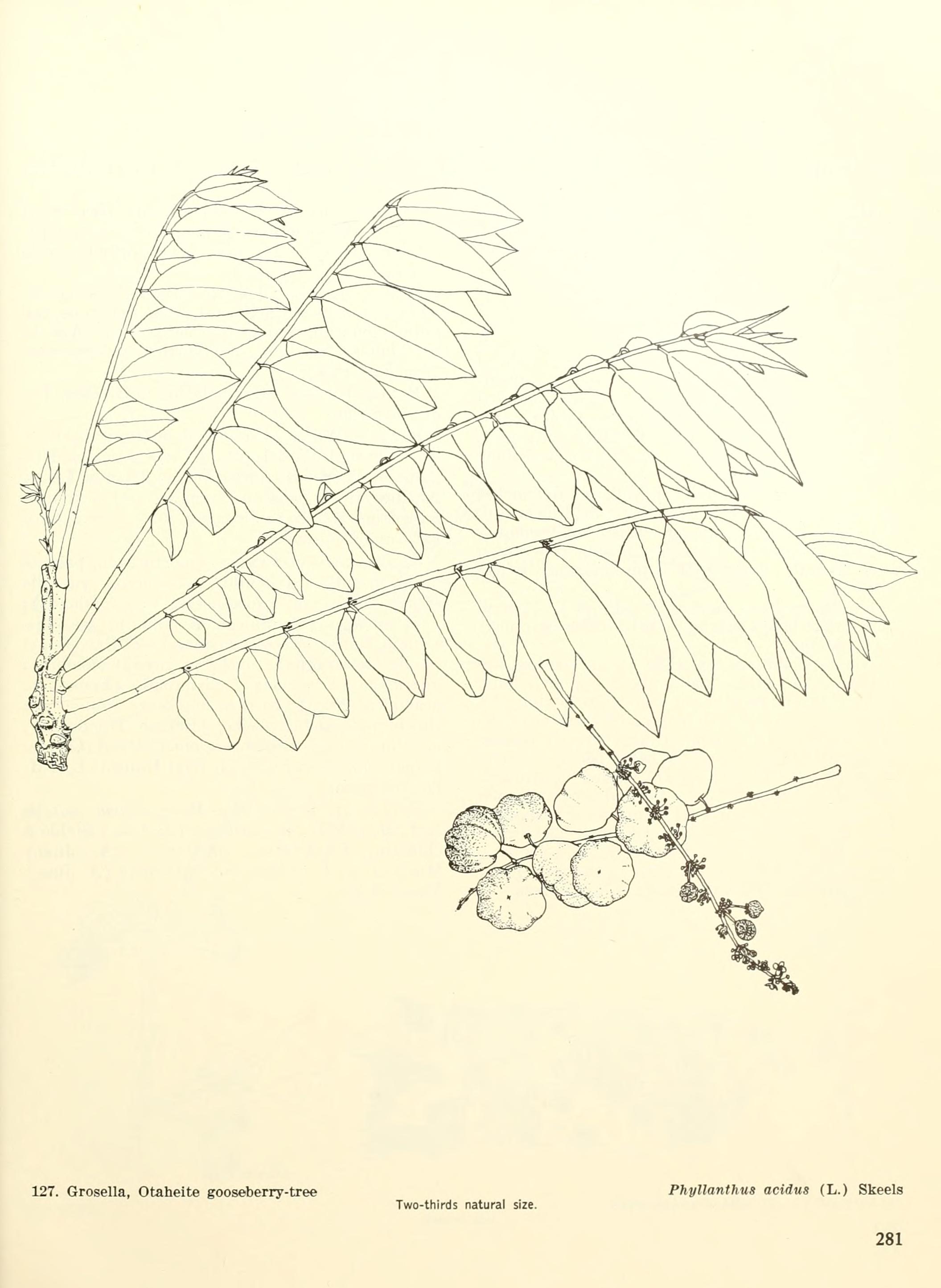 no full size  illustration available (3a)