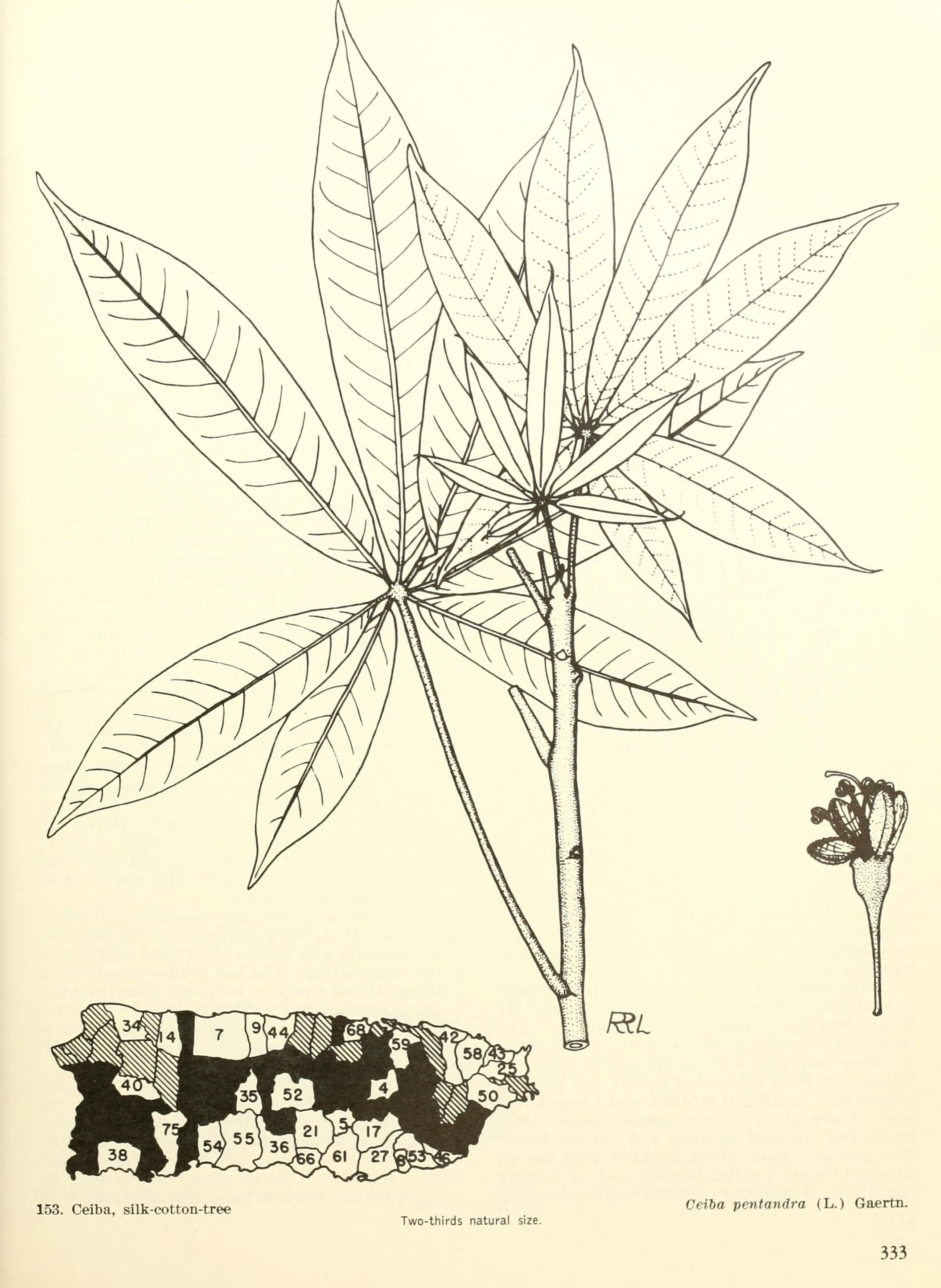 no full size  illustration available (3a)