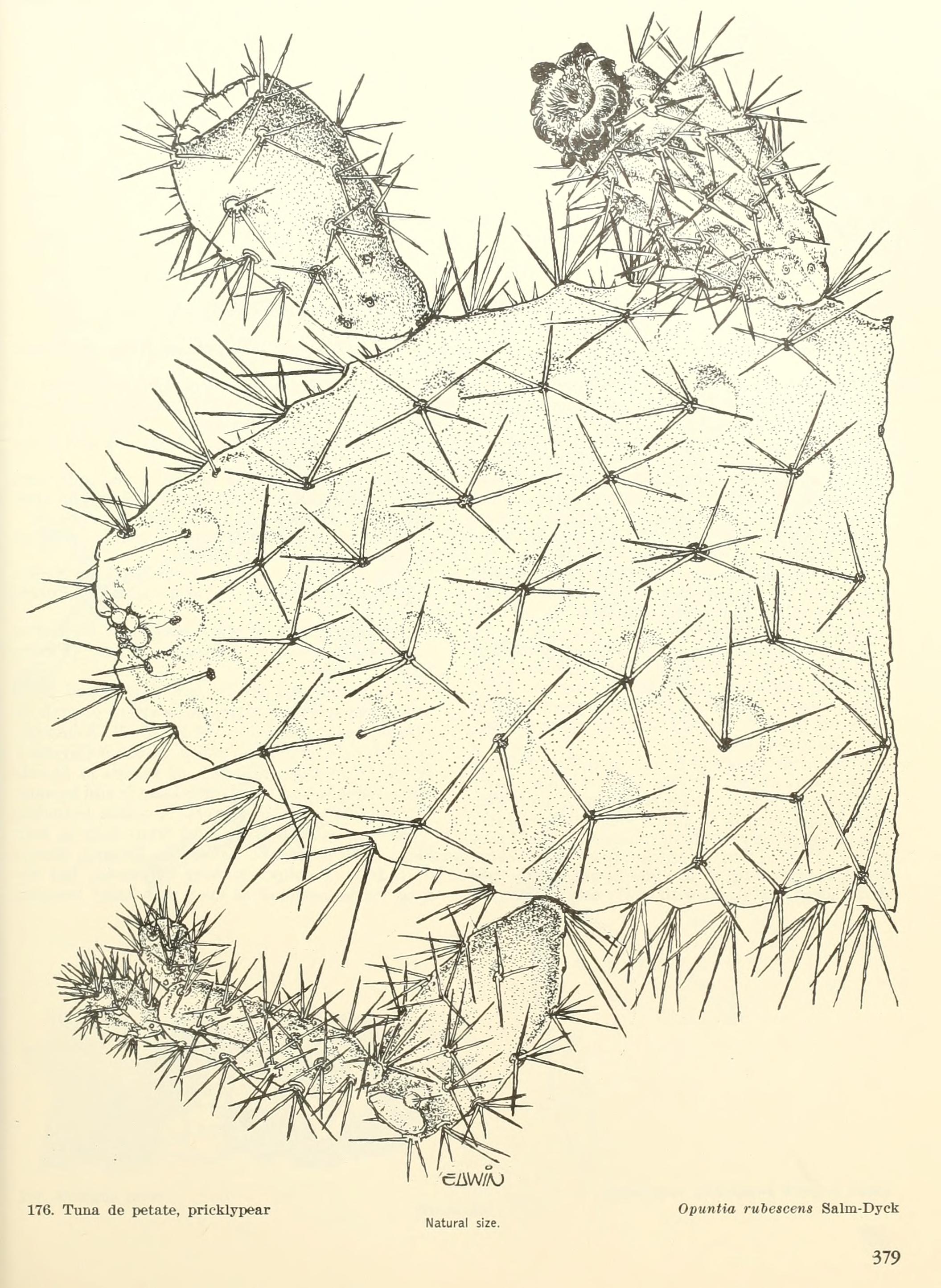 no full size  illustration available (3a)