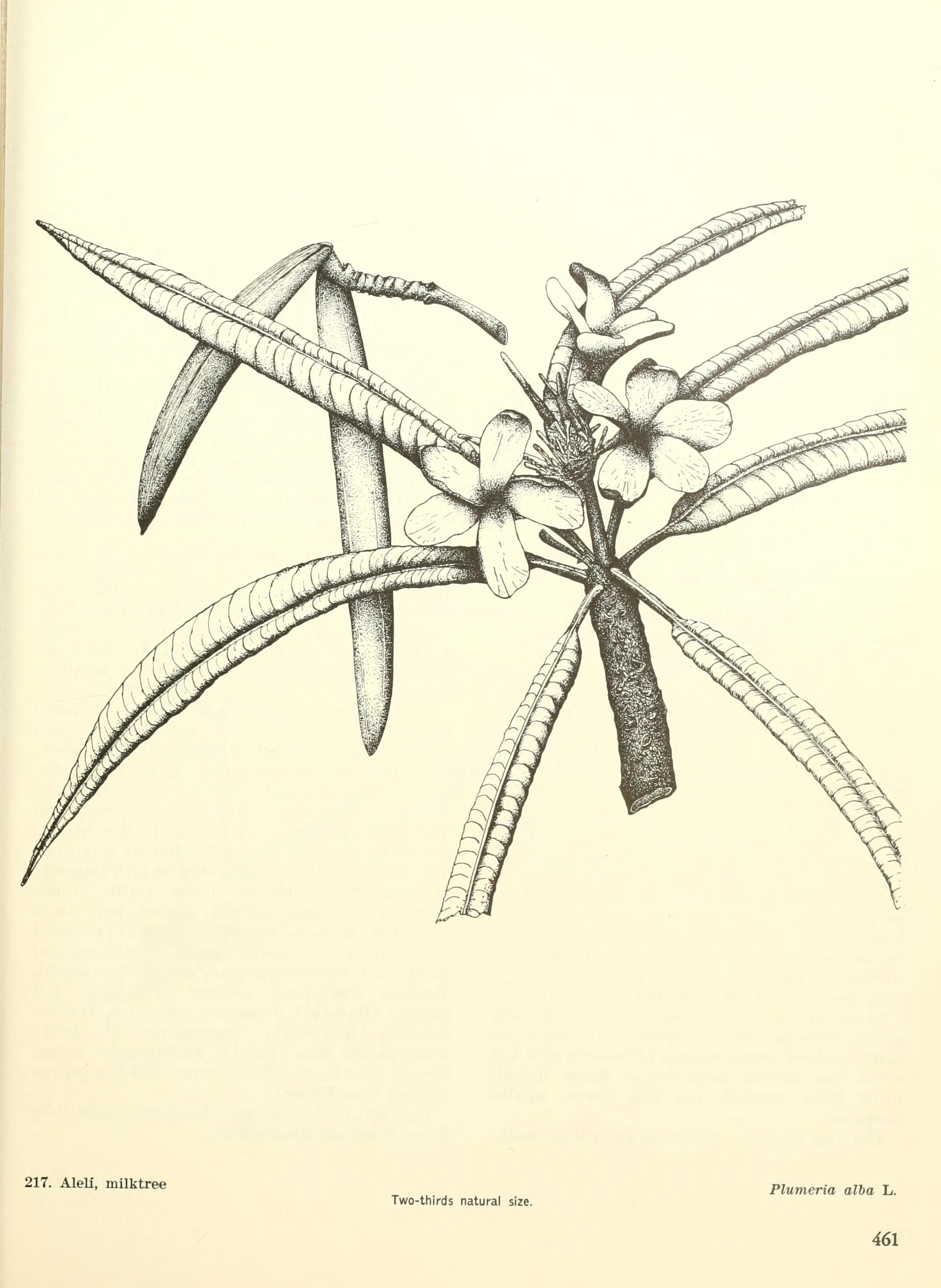 no full size  illustration available (3a)