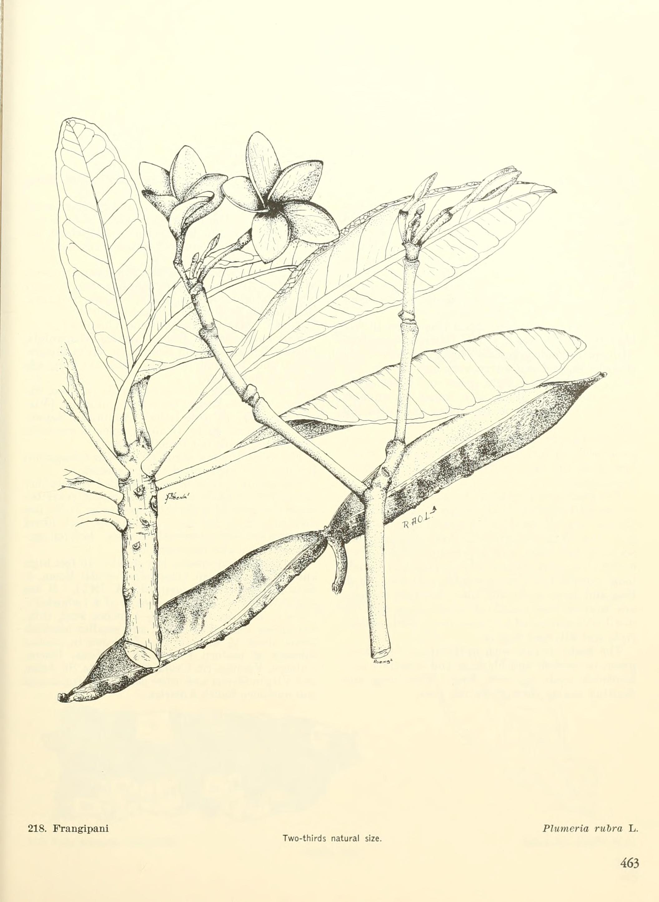 no full size  illustration available (3a)