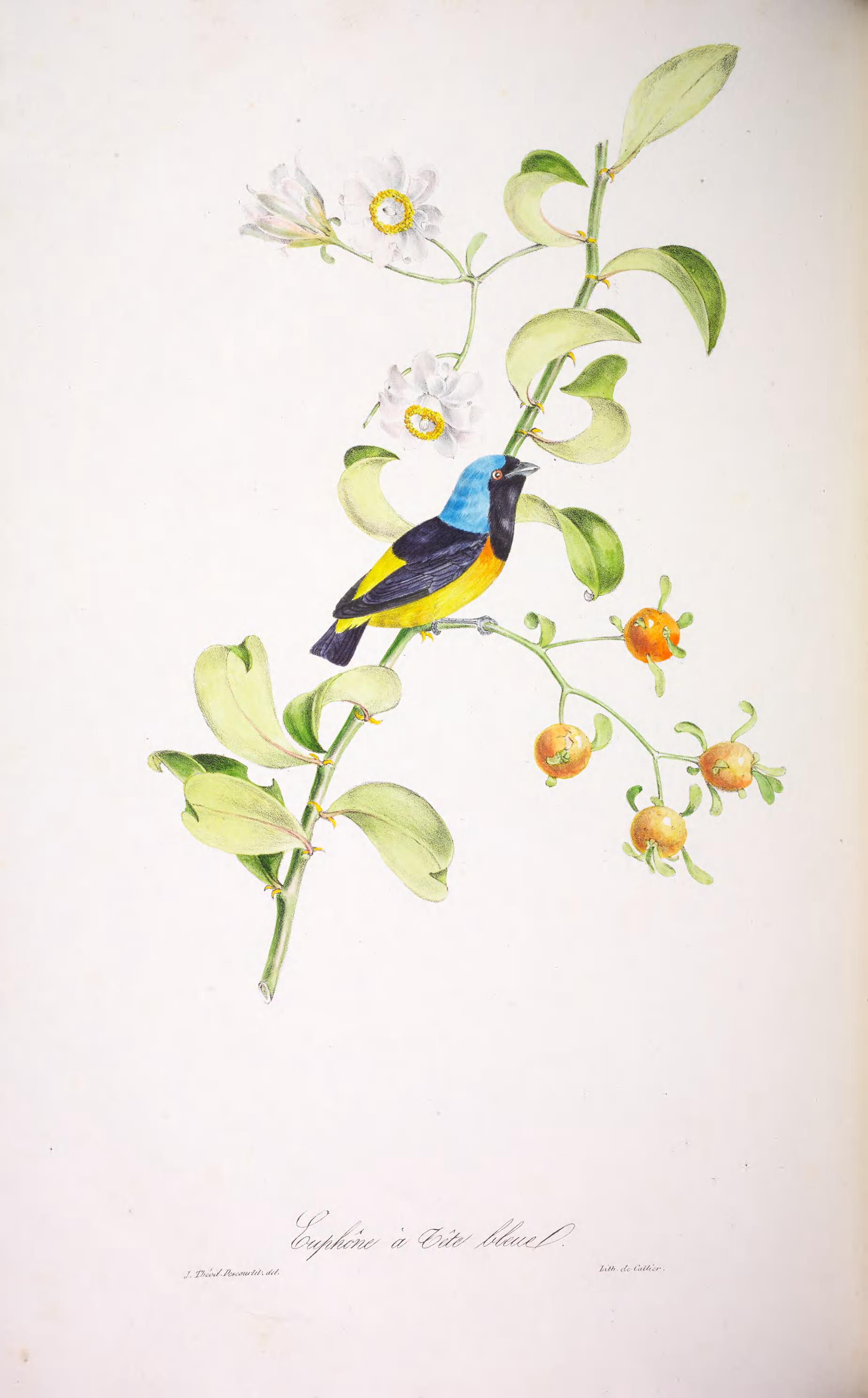 no full size  illustration available (3a)