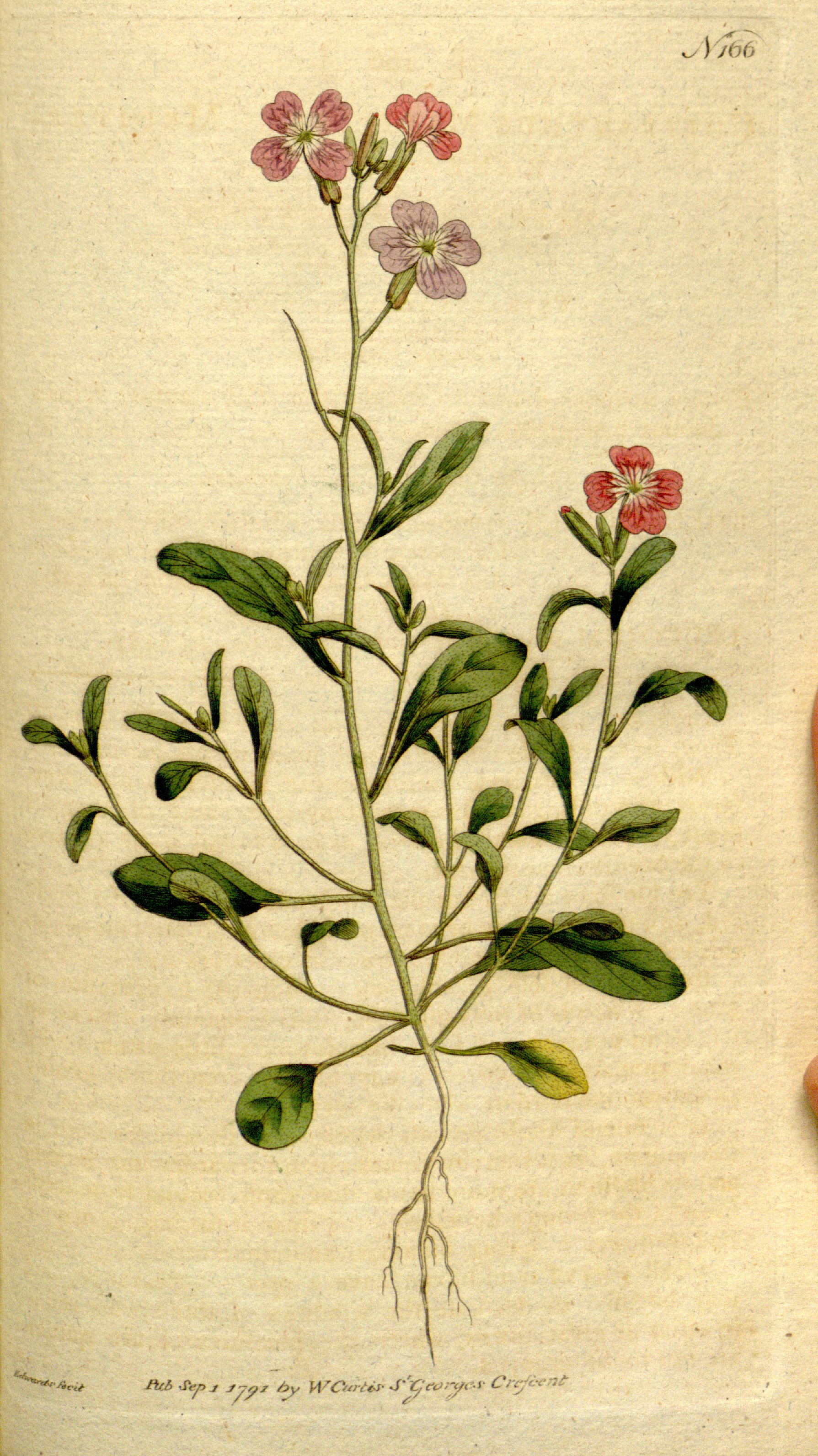 no full size  illustration available (3a)