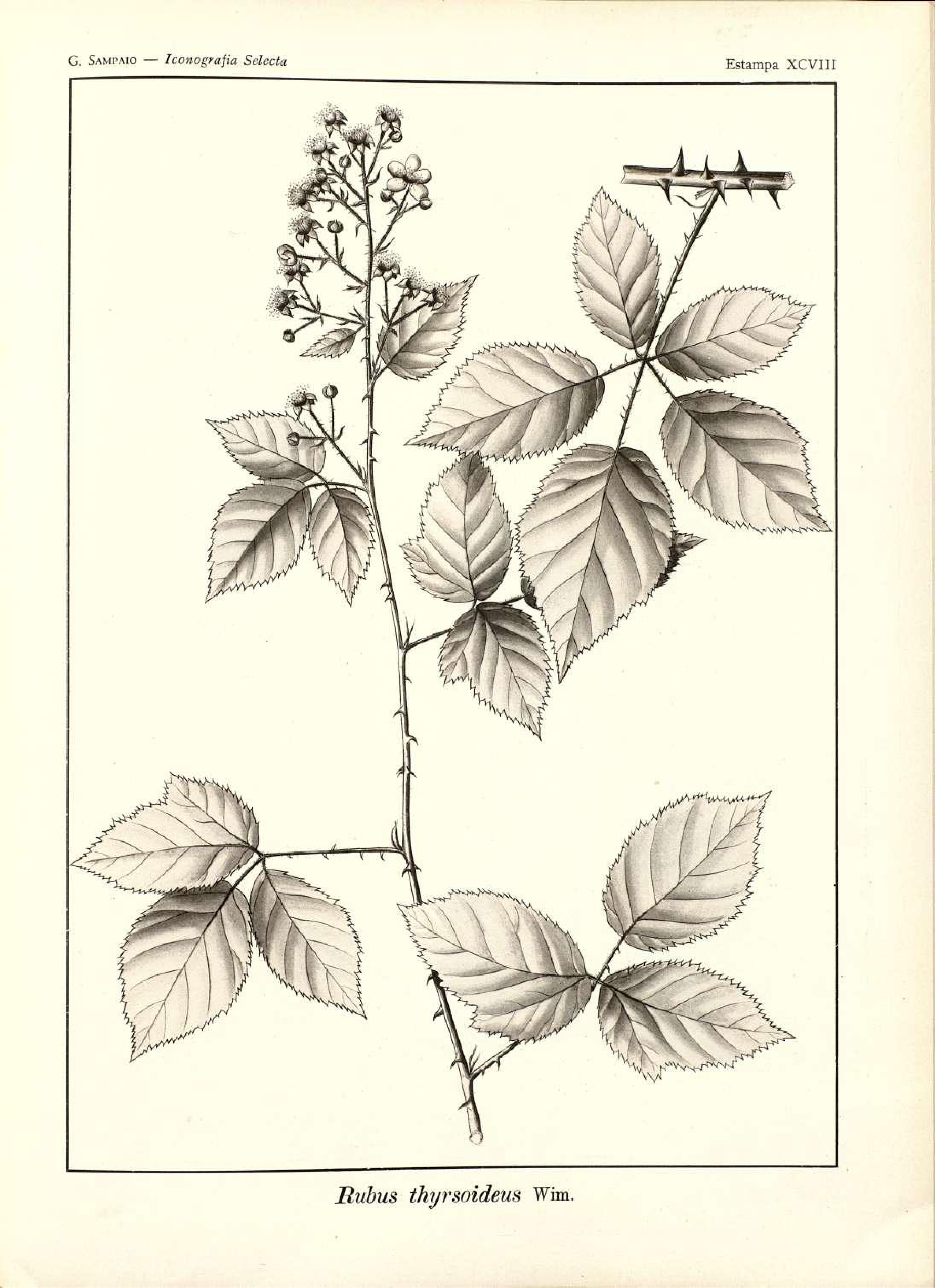 no full size  illustration available (3a)