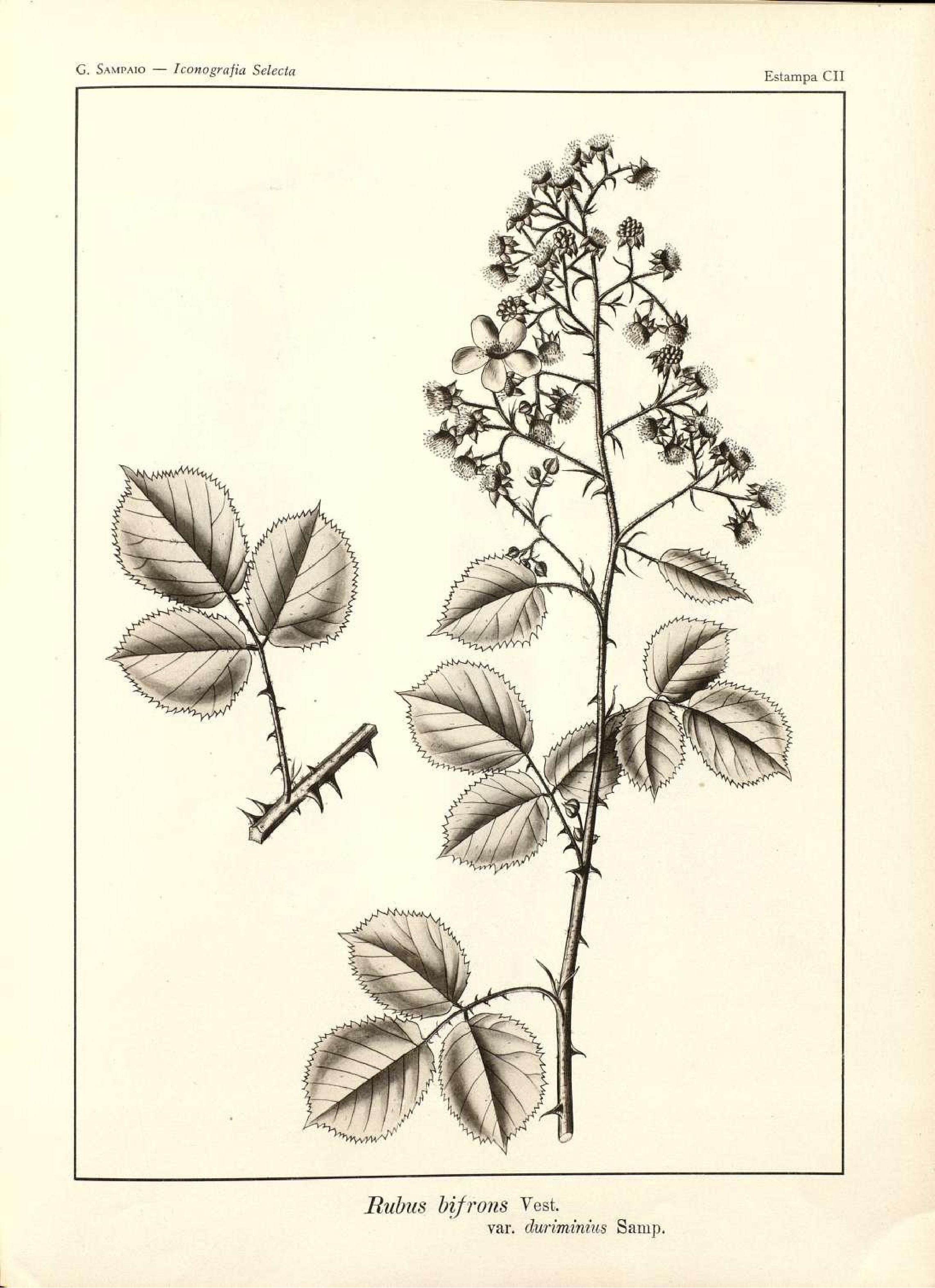 no full size  illustration available (3a)