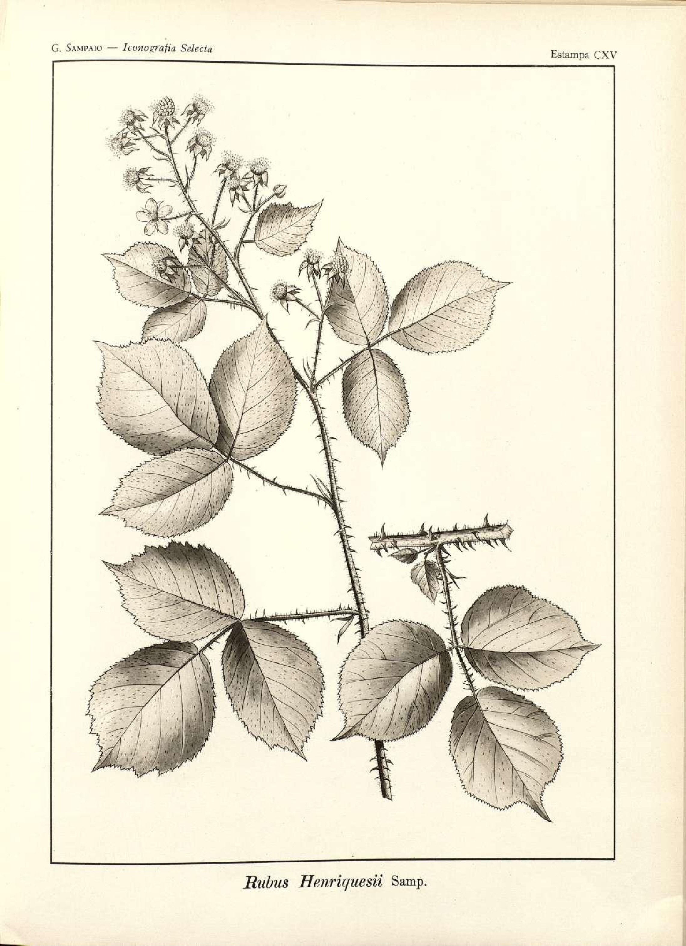 no full size  illustration available (3a)