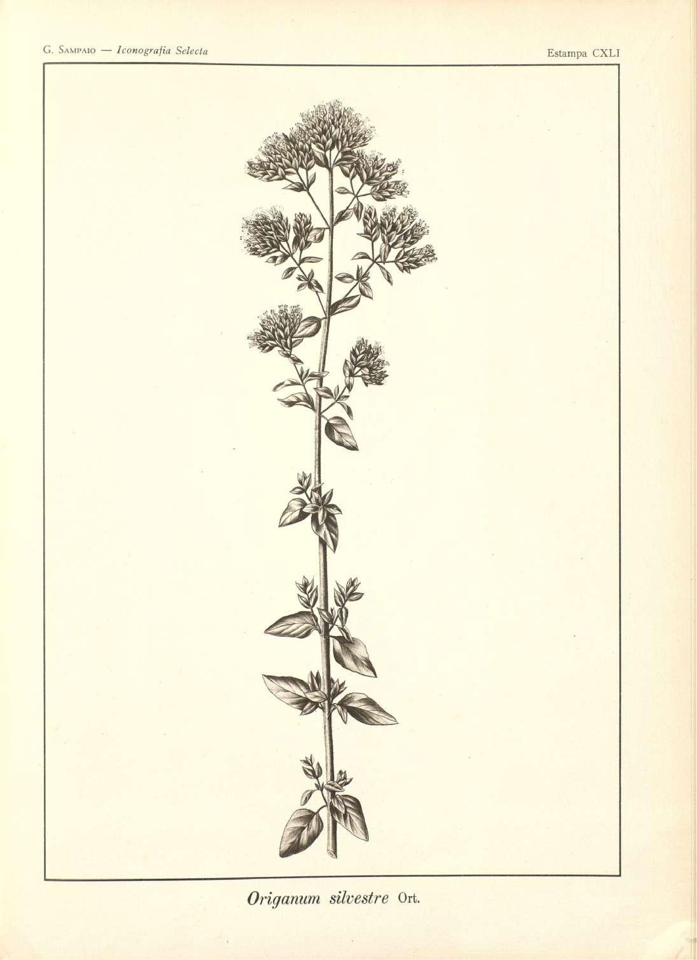 no full size  illustration available (3a)