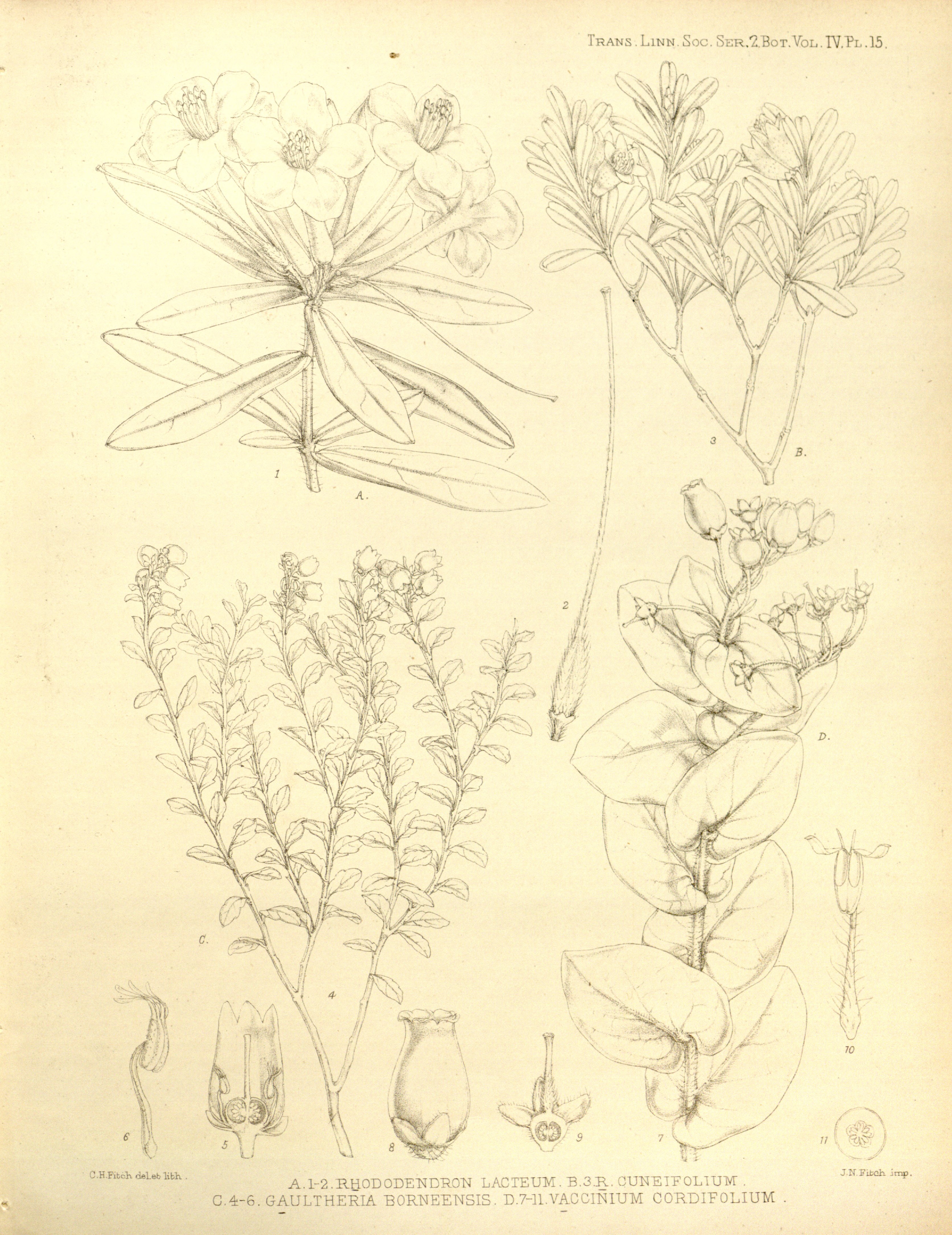 no full size  illustration available (3a)