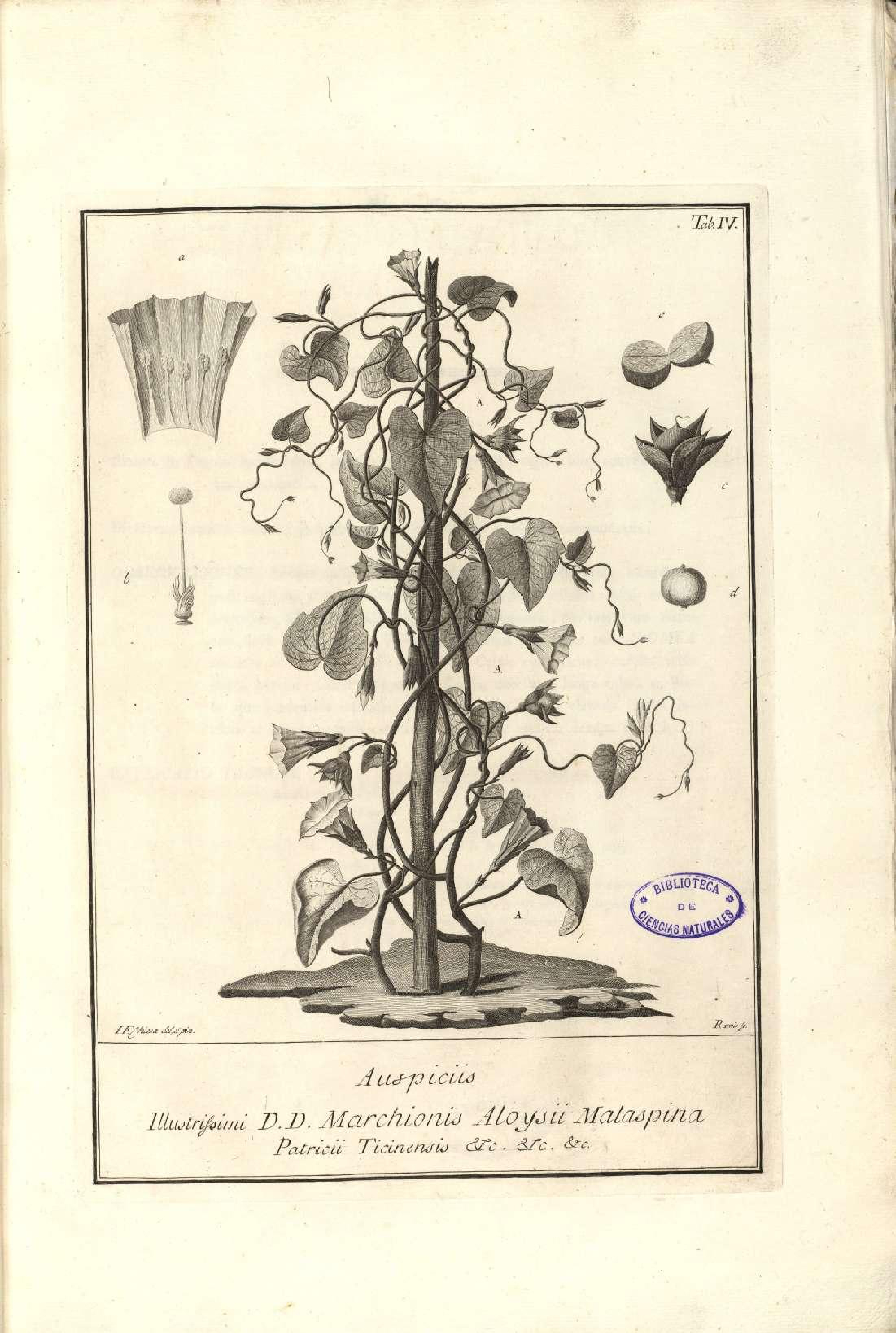 no full size  illustration available (3a)