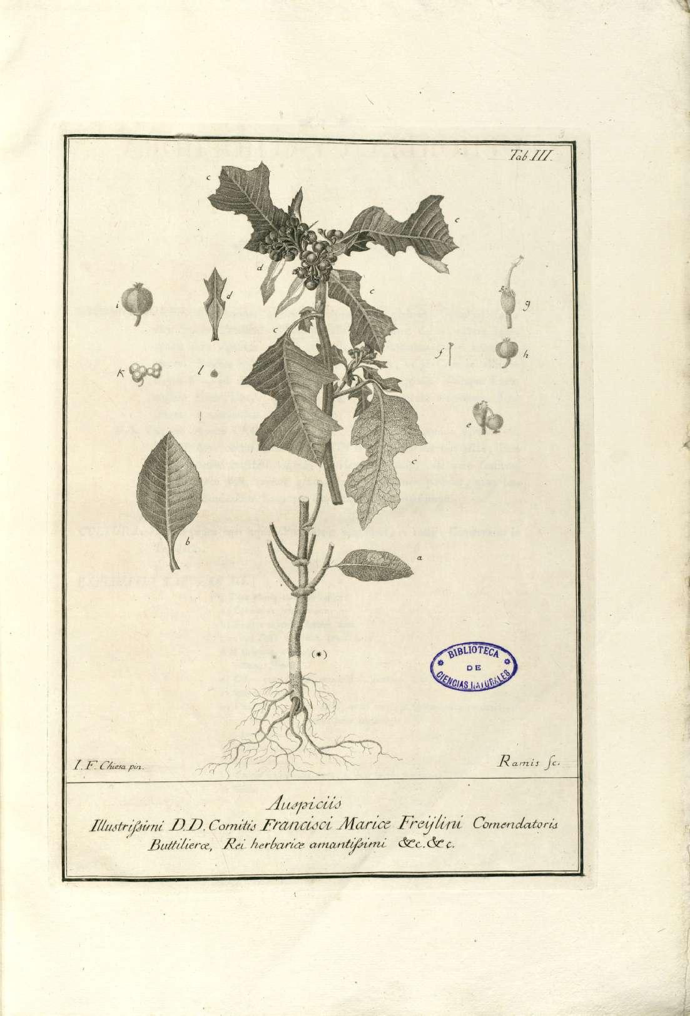 no full size  illustration available (3a)