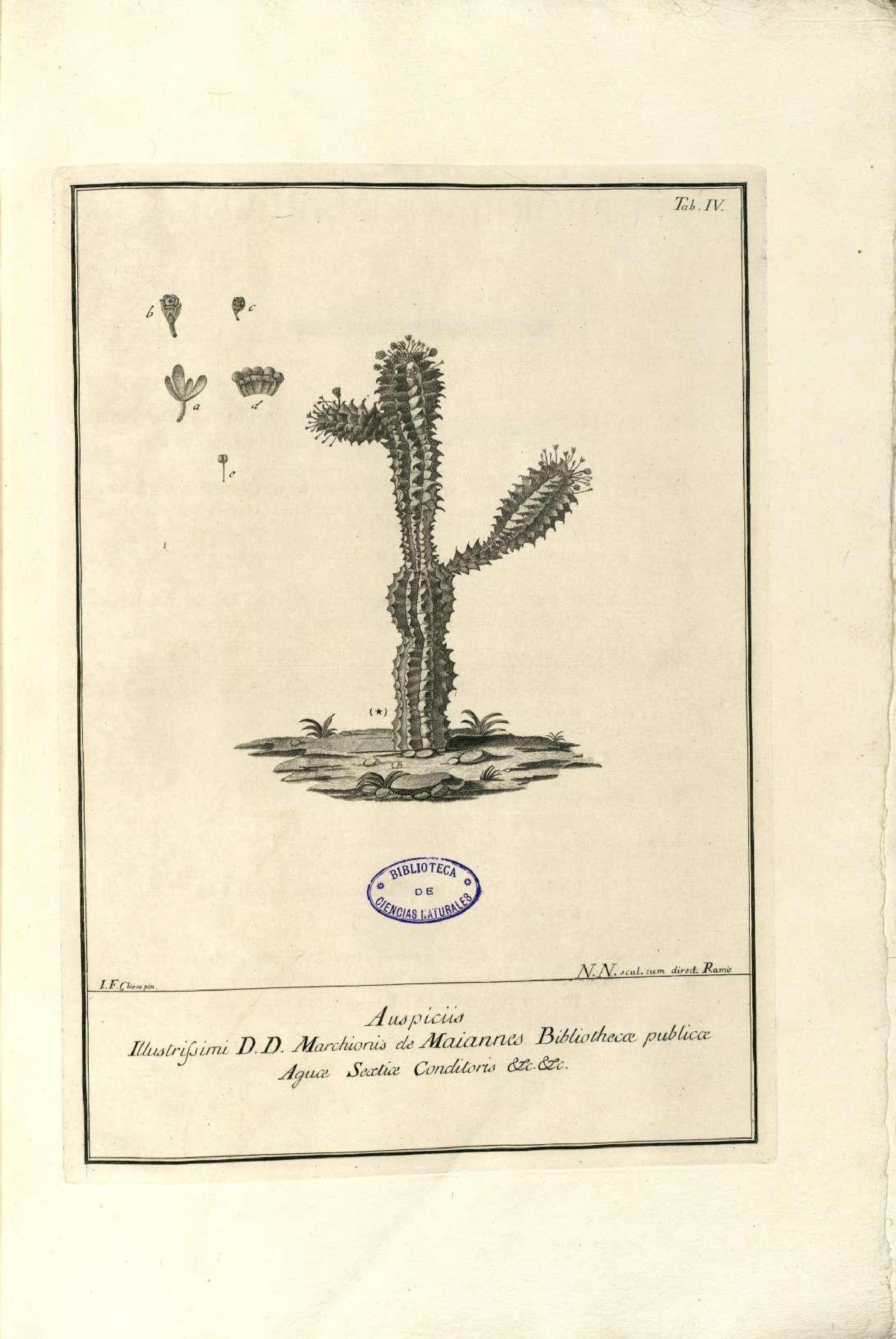 no full size  illustration available (3a)