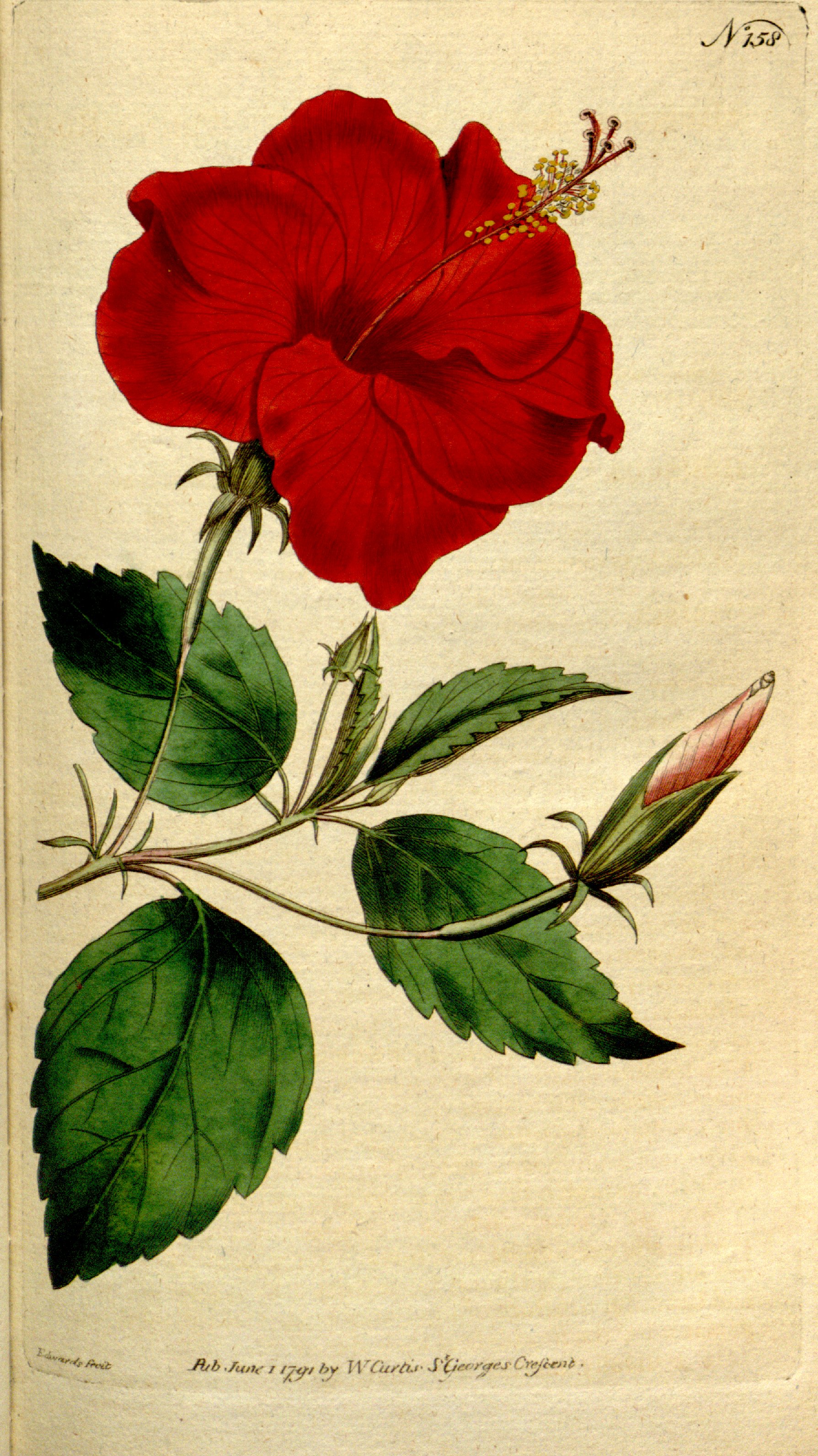 no full size  illustration available (3a)