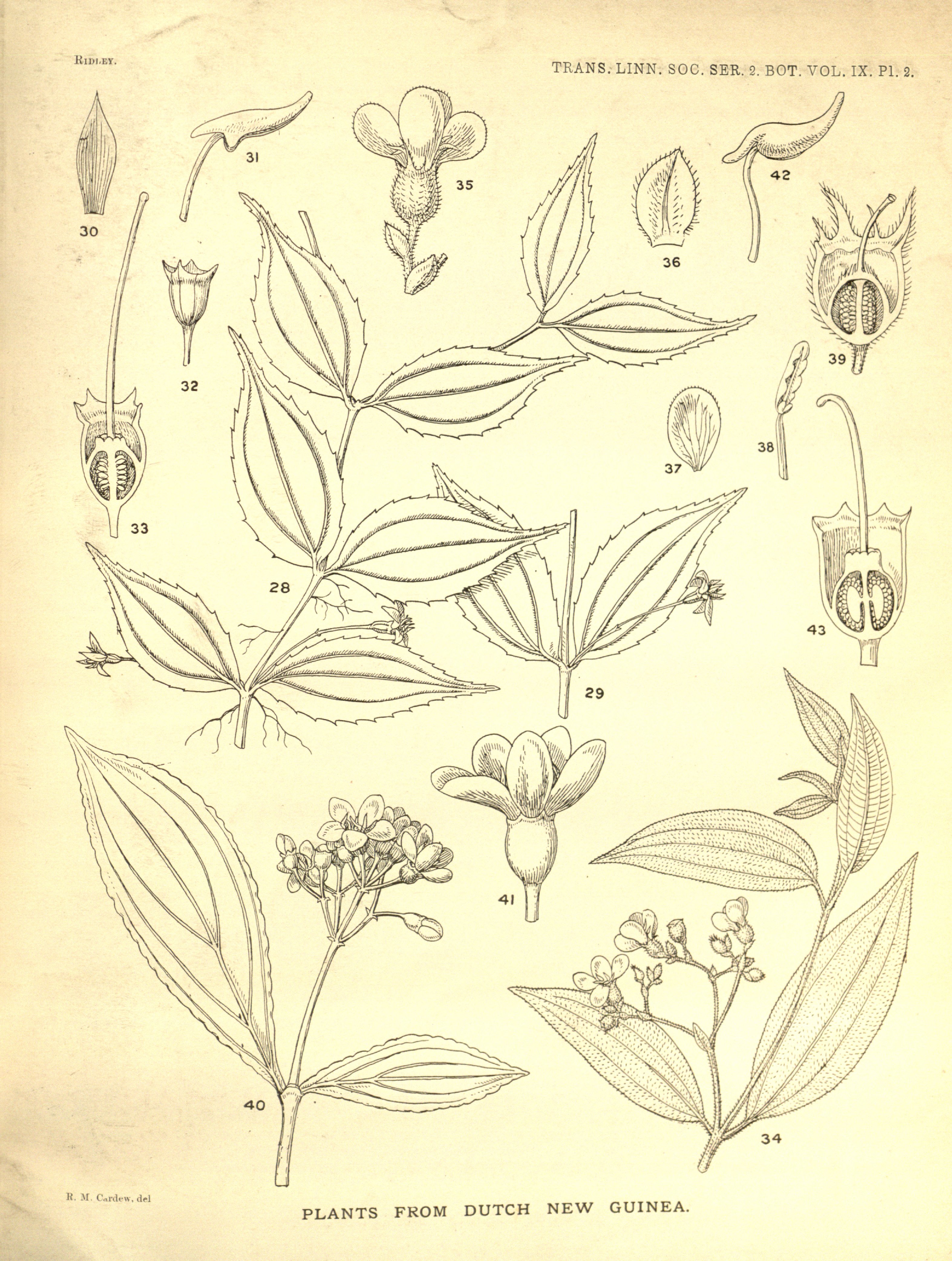 no full size  illustration available (3a)