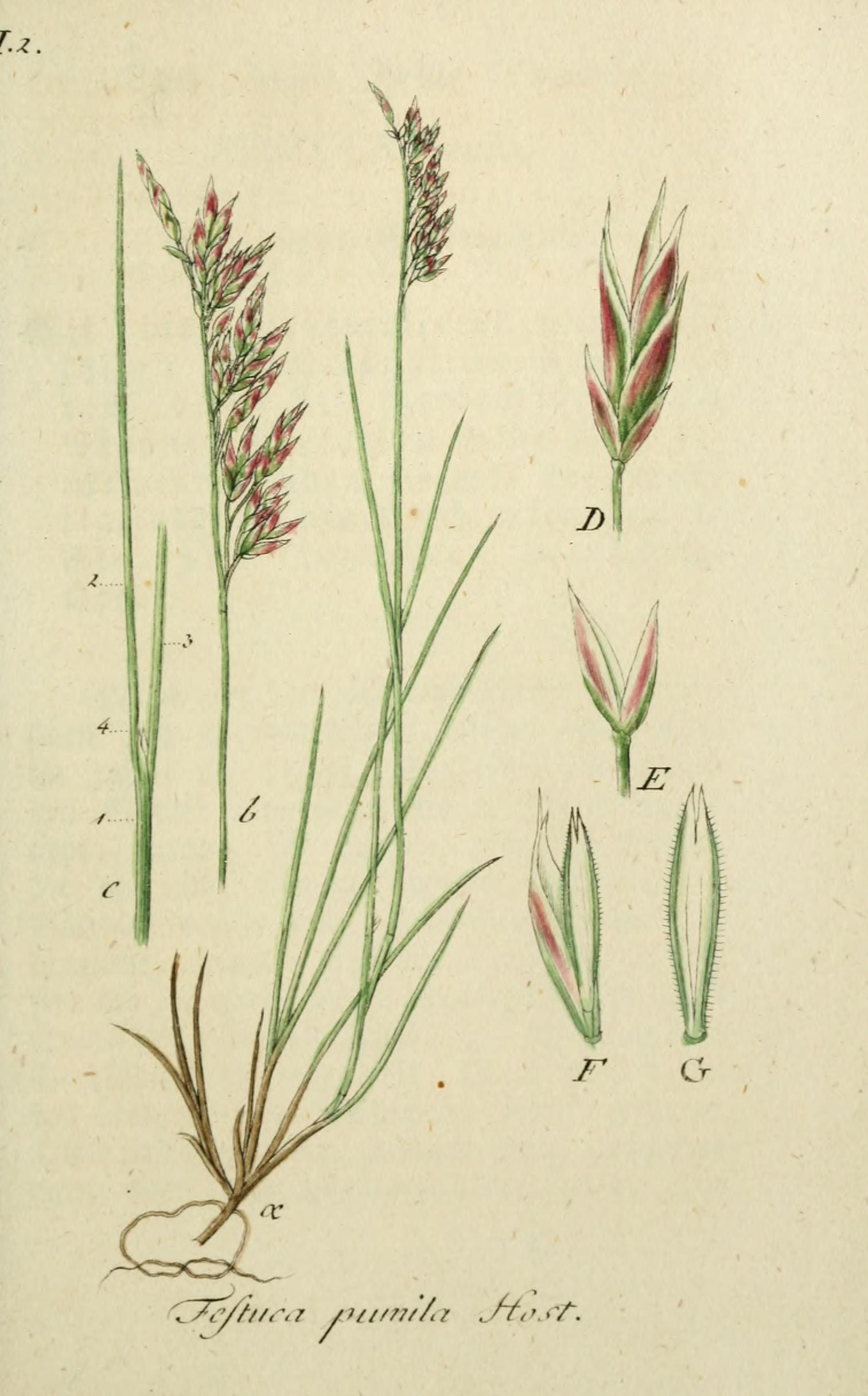 no full size  illustration available (3a)