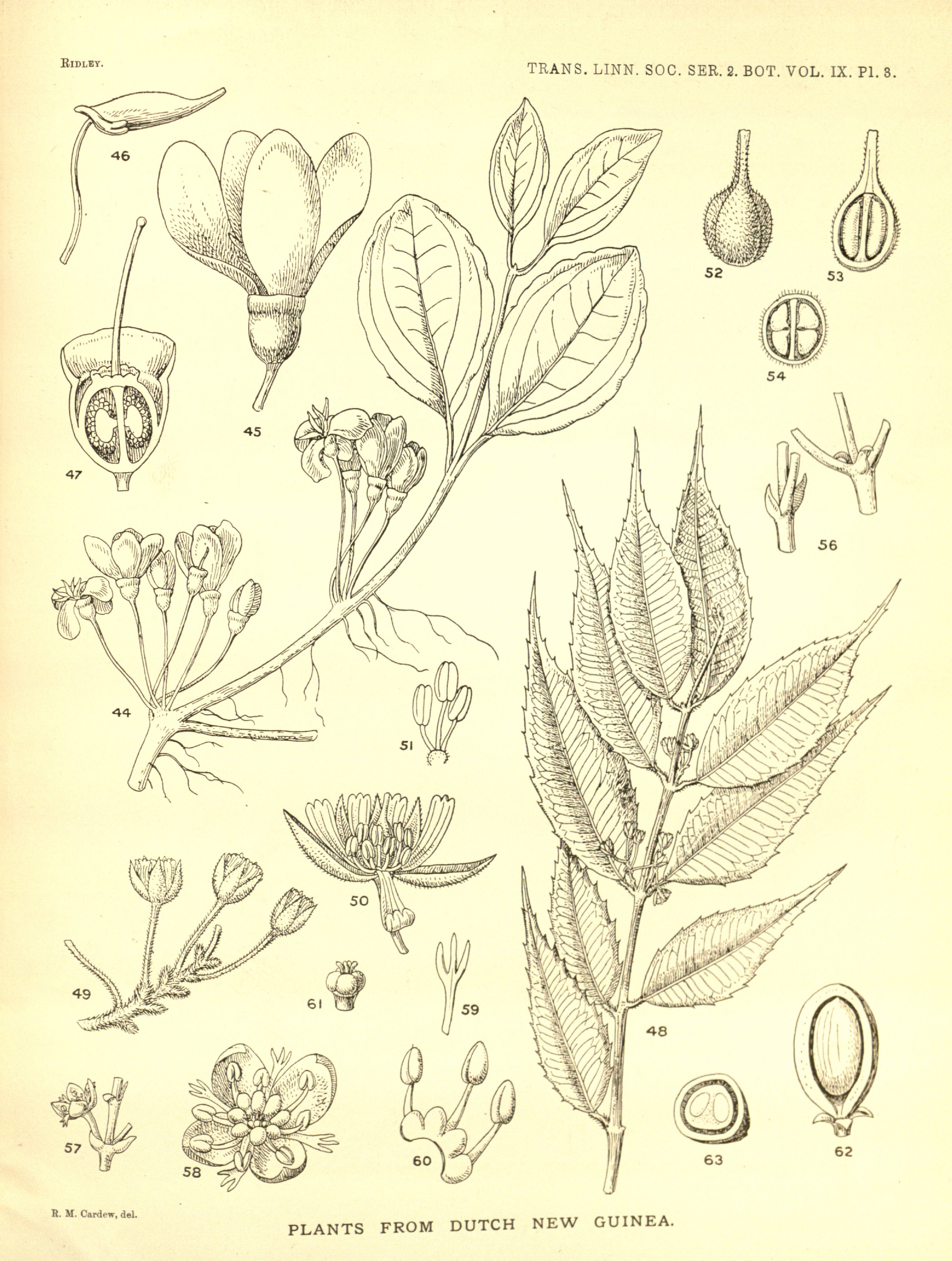 no full size  illustration available (3a)