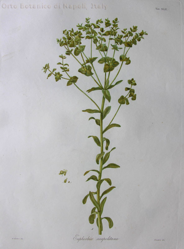 no full size  illustration available (3a)