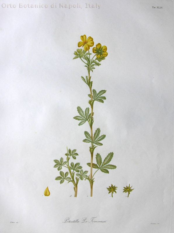 no full size  illustration available (3a)