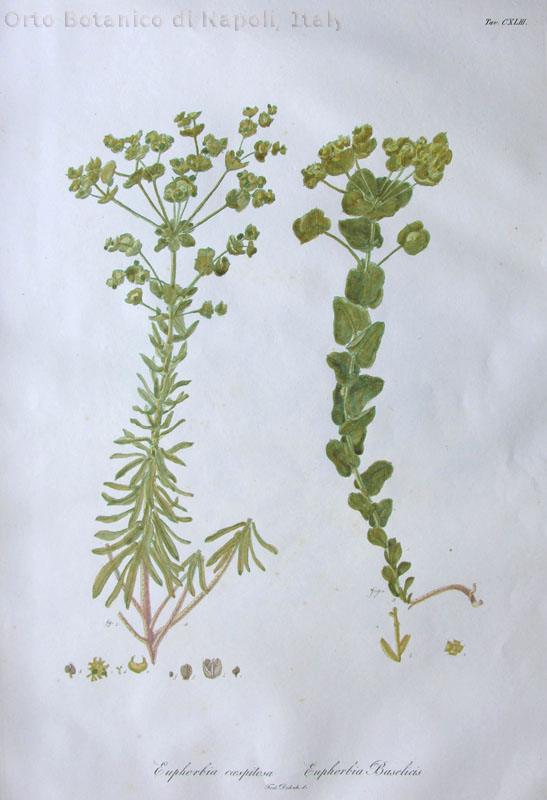 no full size  illustration available (3a)