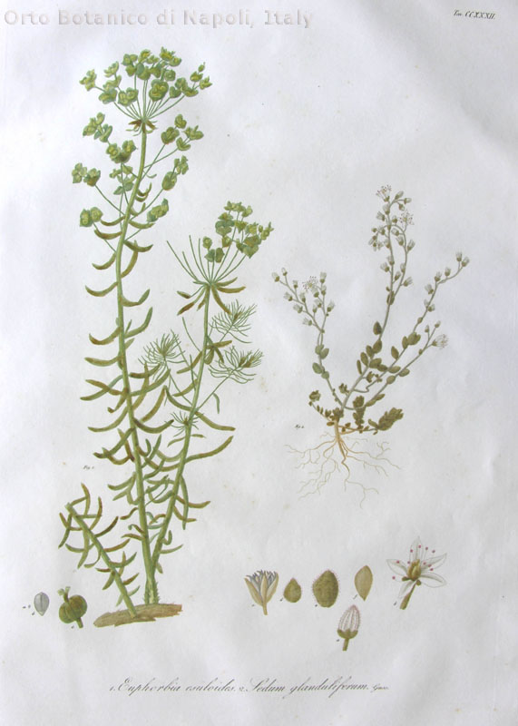 no full size  illustration available (3a)