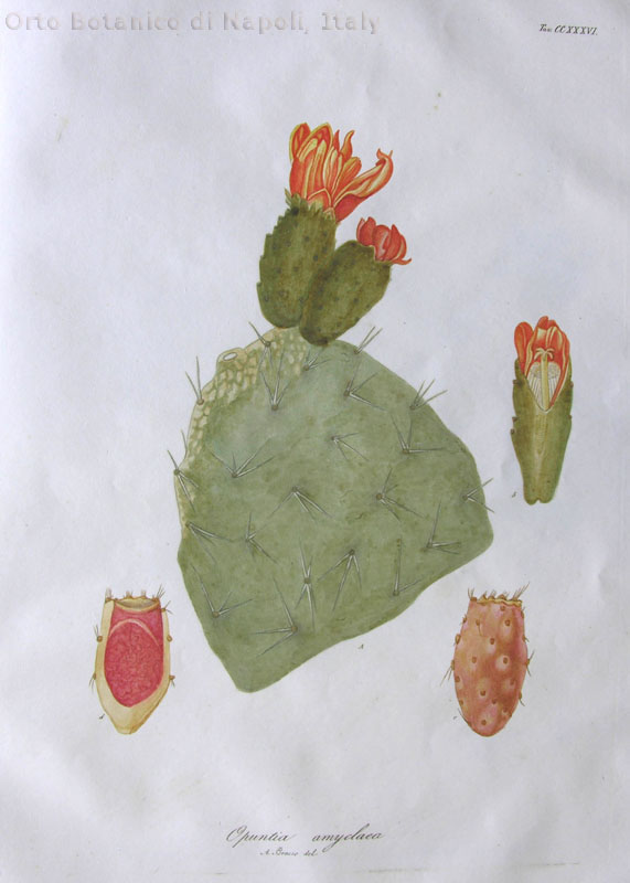 no full size  illustration available (3a)