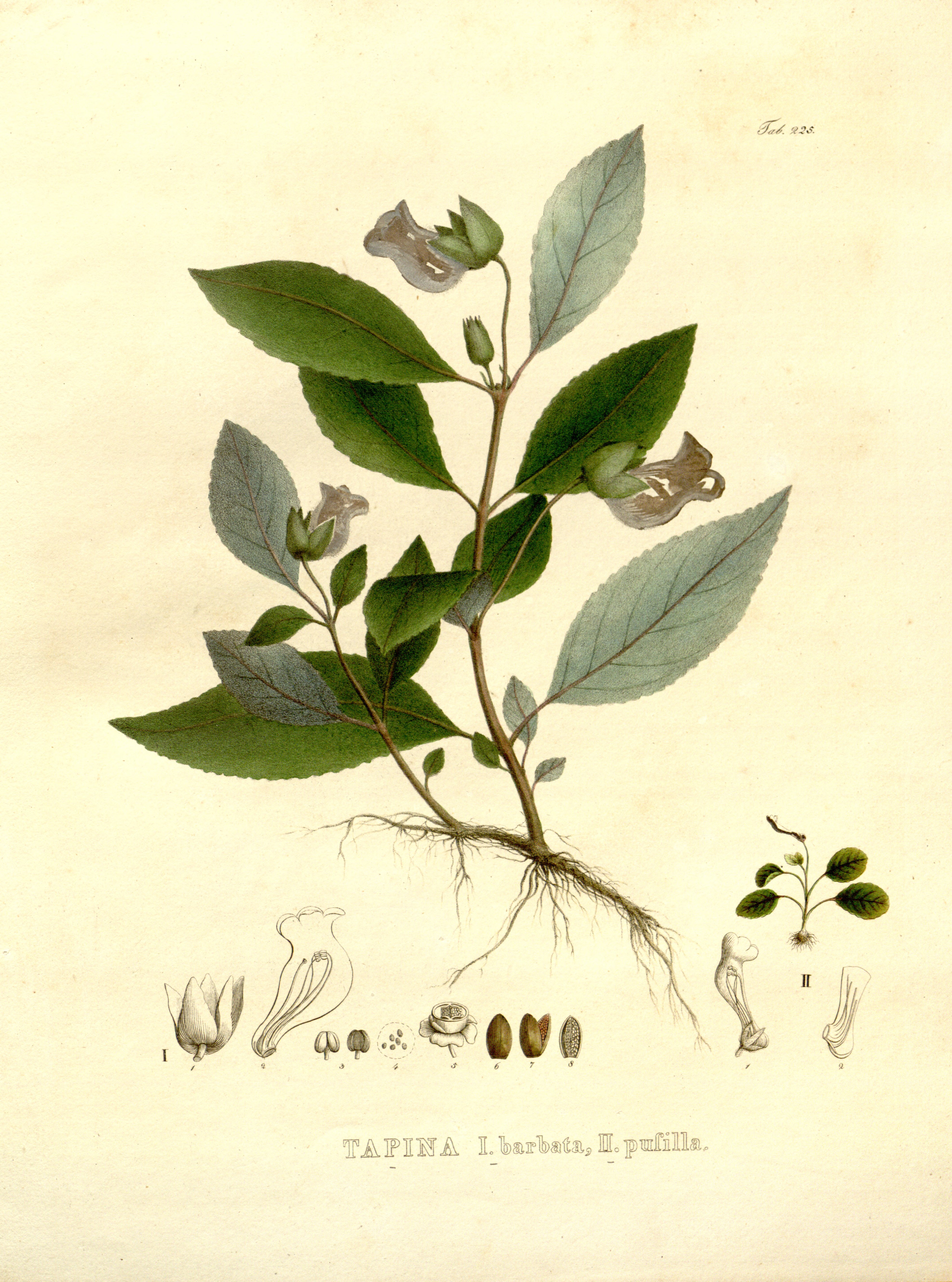 no full size  illustration available (3a)