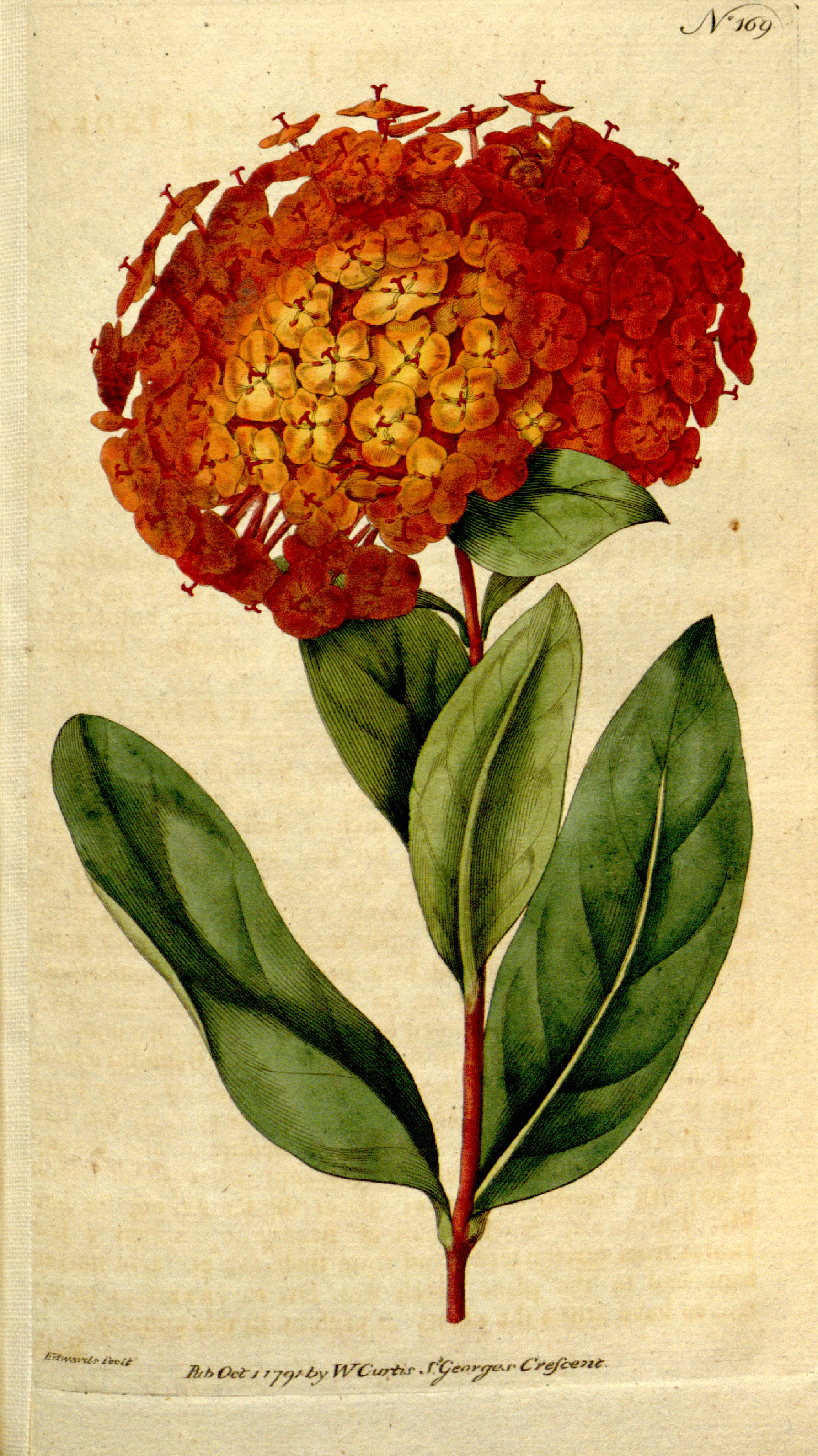 no full size  illustration available (3a)