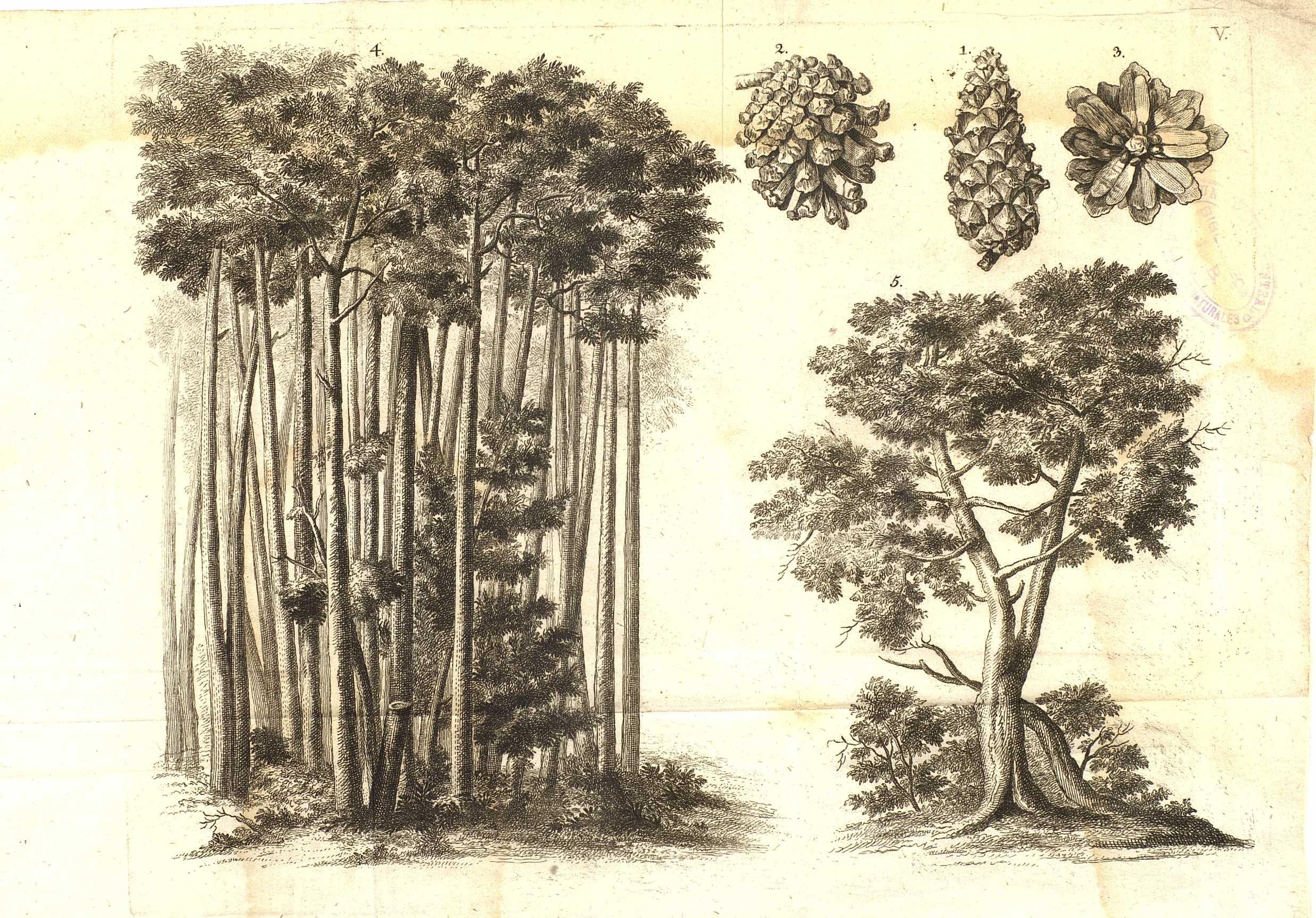 no full size  illustration available (3a)