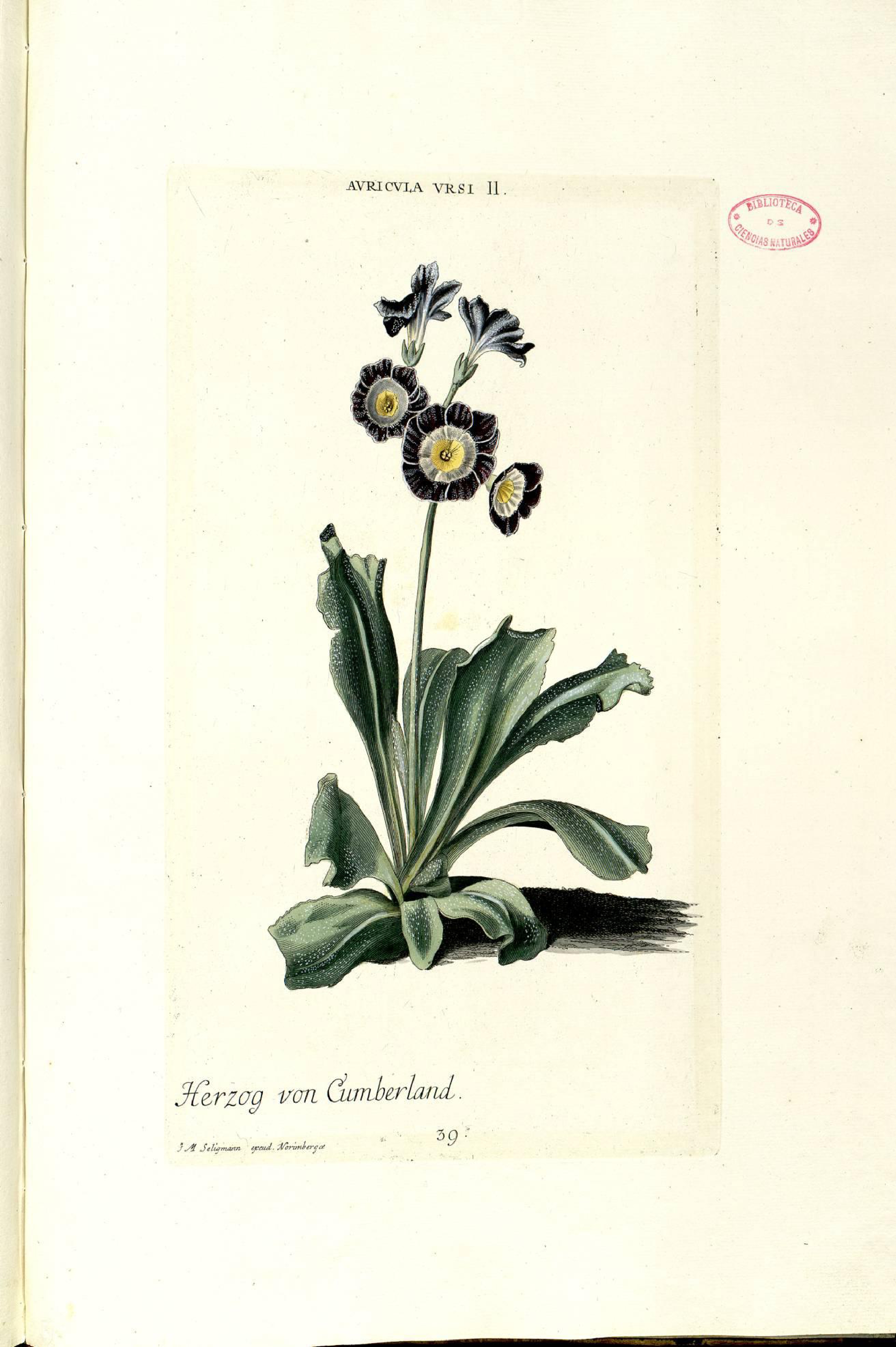 no full size  illustration available (3a)