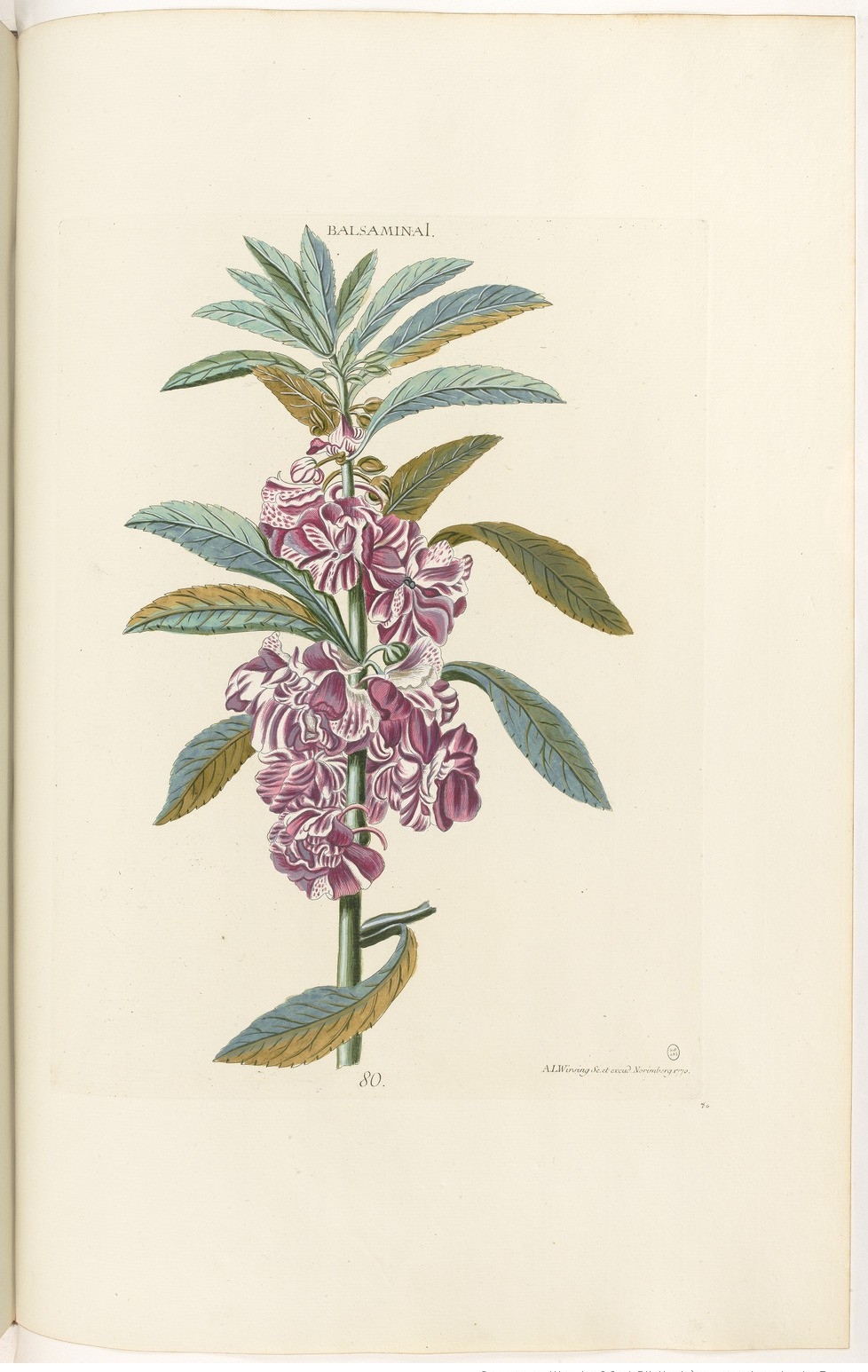 no full size  illustration available (3a)