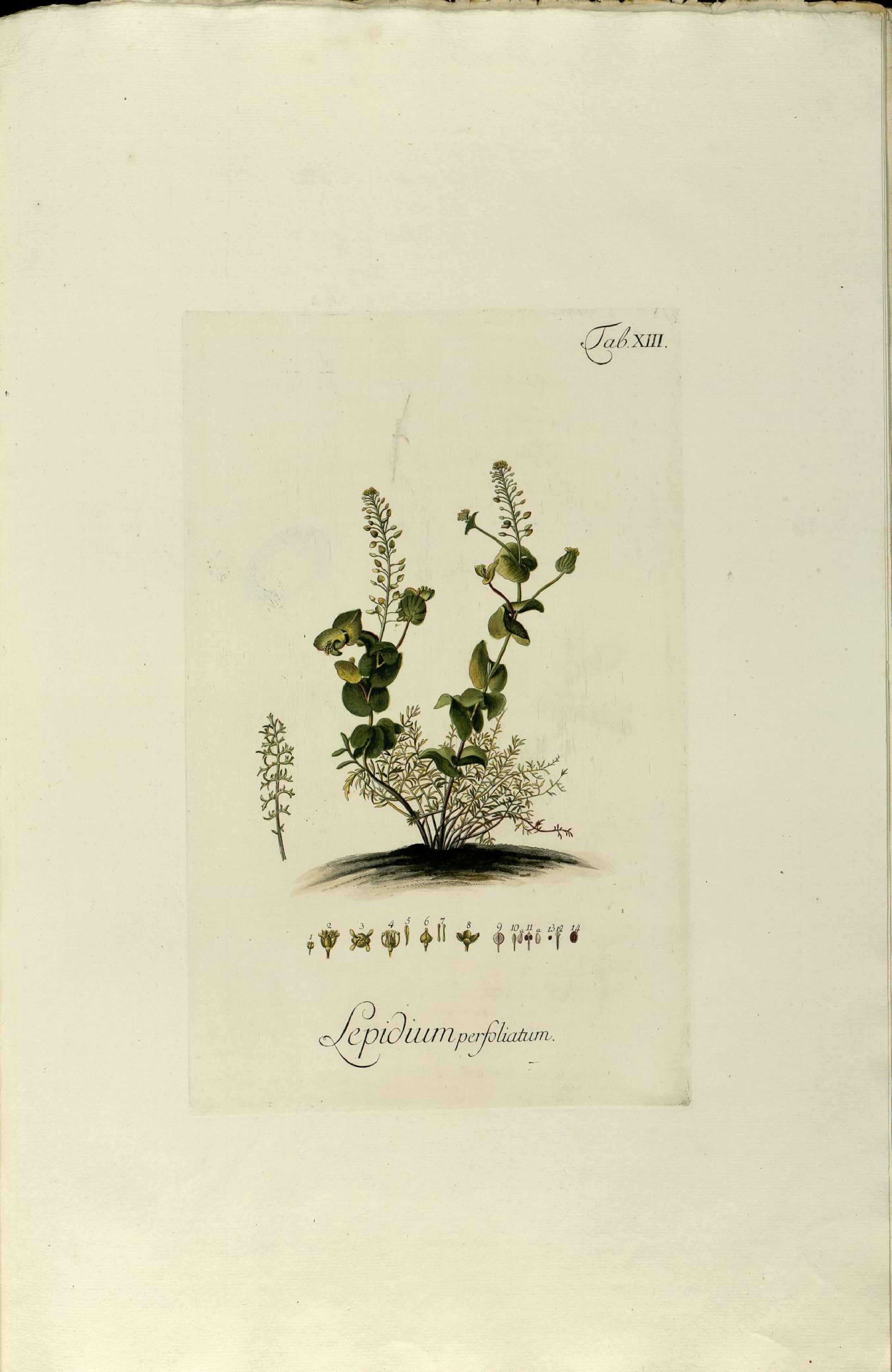 no full size  illustration available (3a)