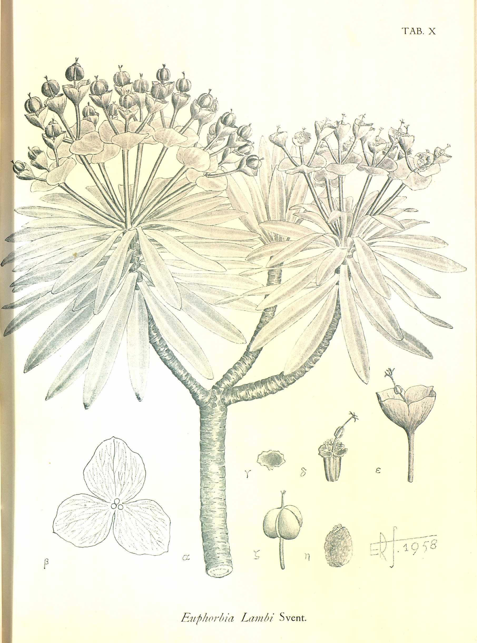 no full size  illustration available (3a)