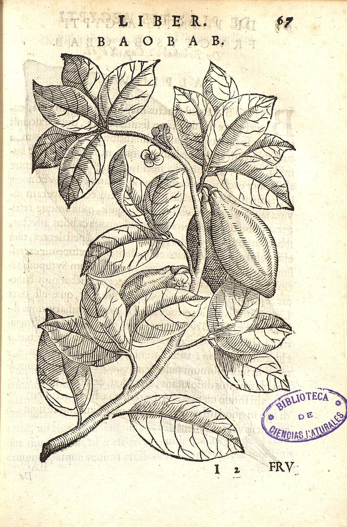 no full size  illustration available (3a)