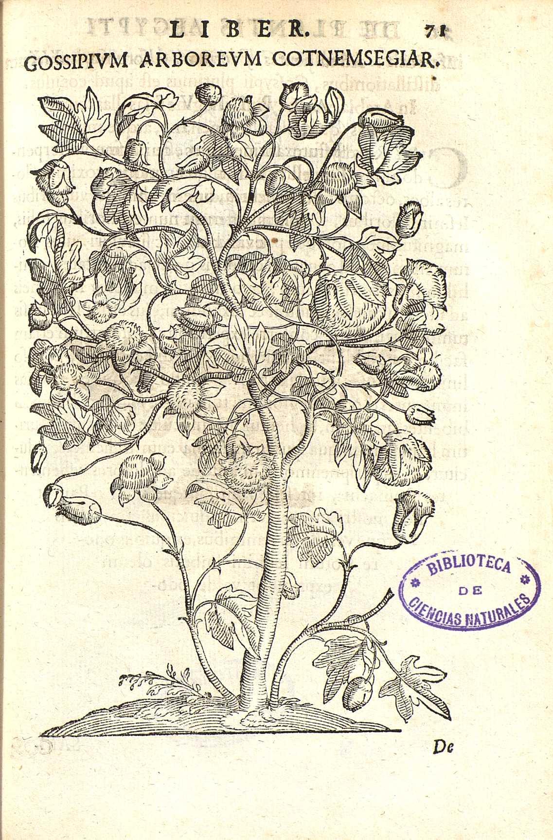 no full size  illustration available (3a)