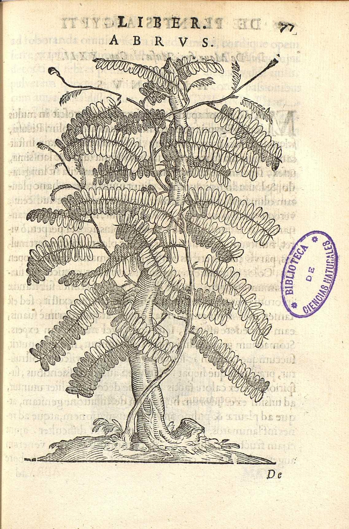 no full size  illustration available (3a)