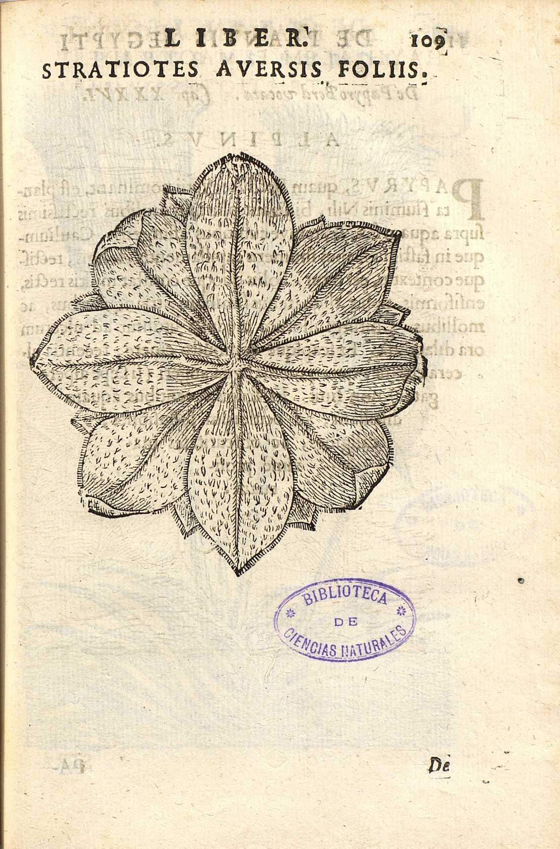 no full size  illustration available (3a)