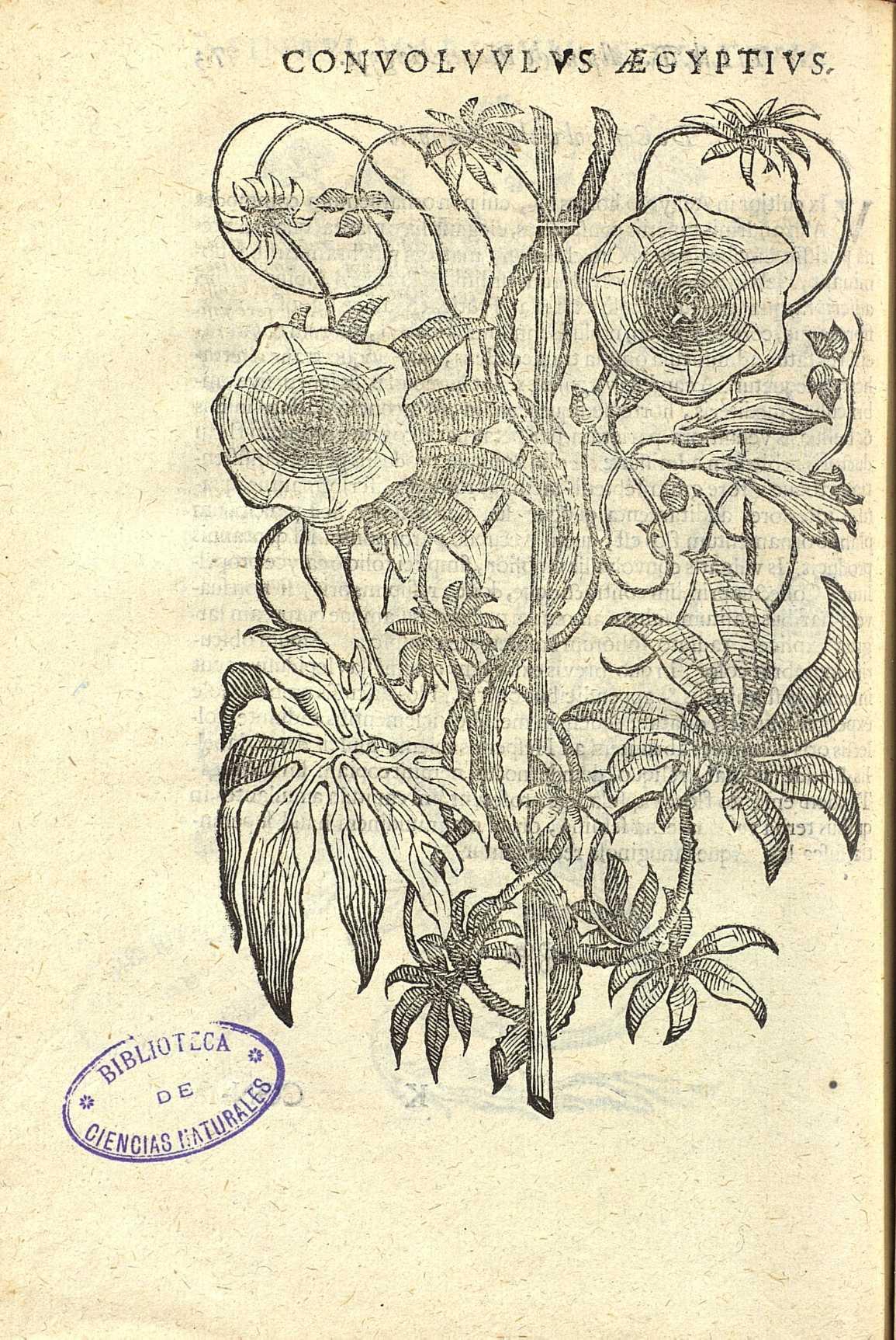 no full size  illustration available (3a)