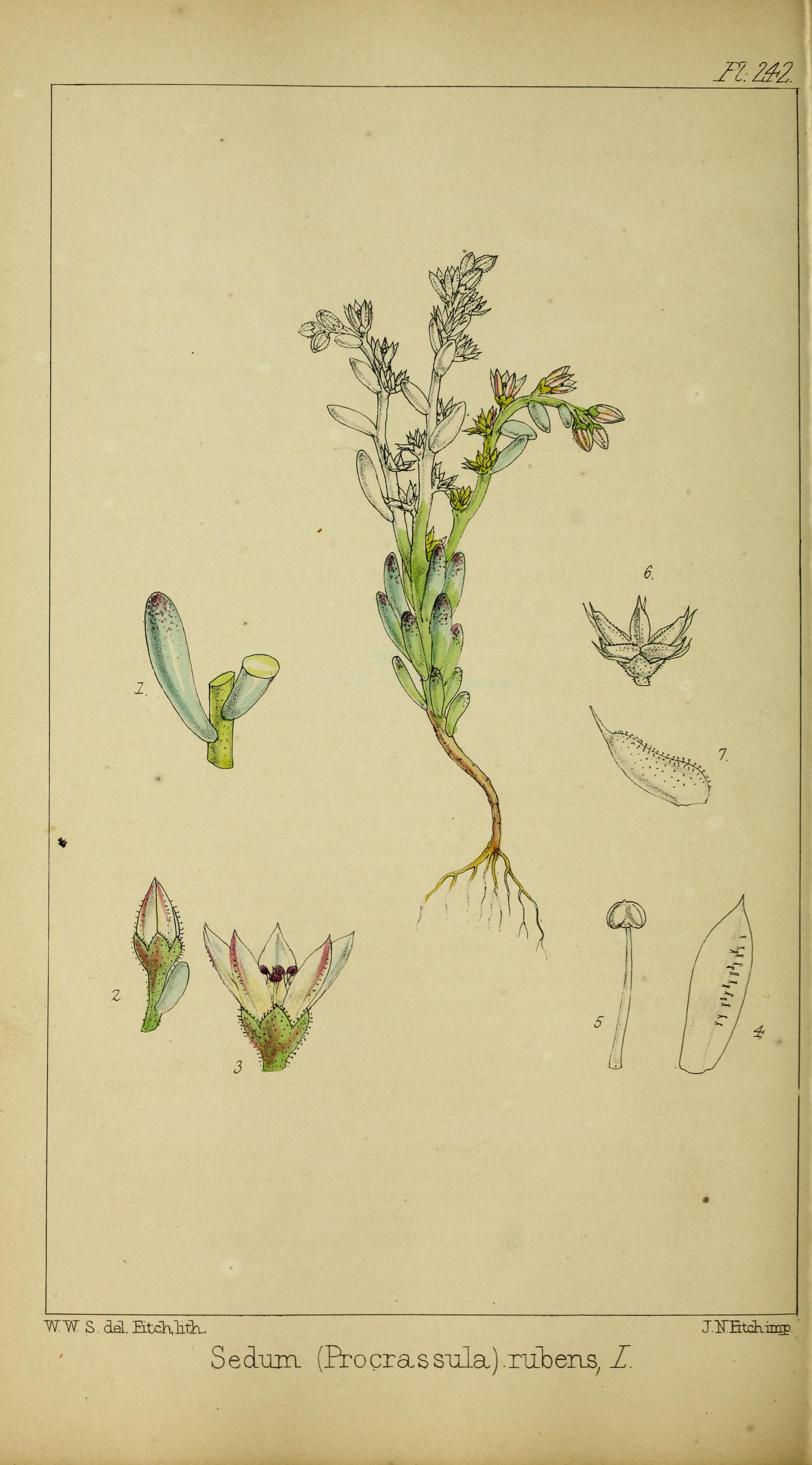 no full size  illustration available (3a)