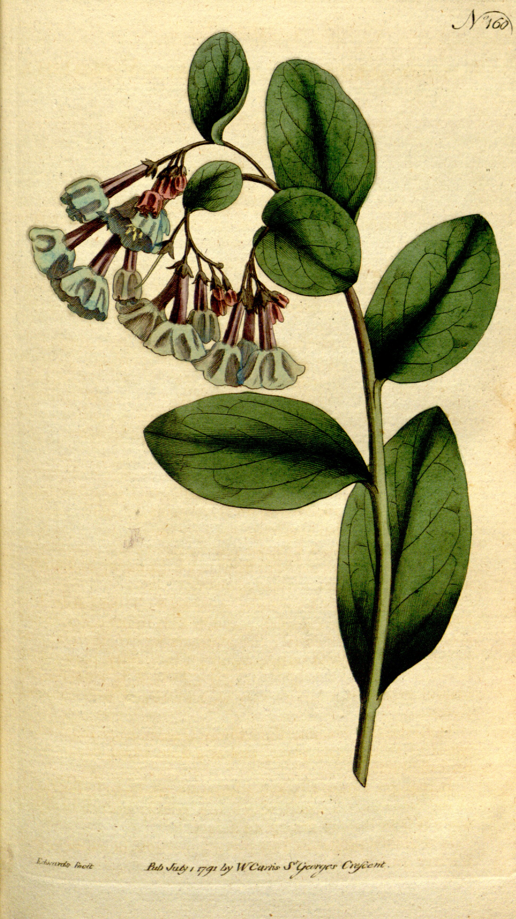 no full size  illustration available (3a)